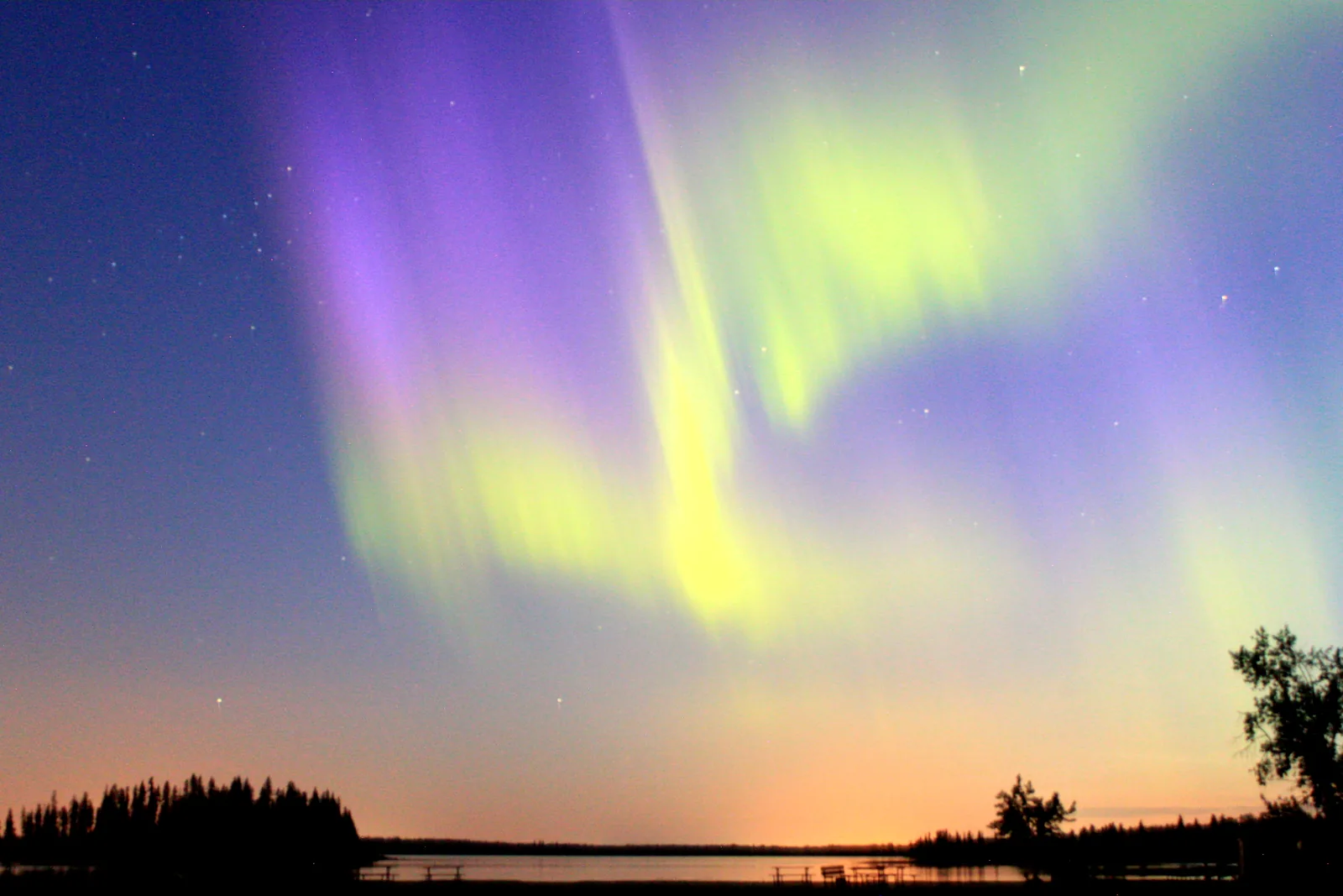 Grüne und violette Nordlichtbänder stehen über einer dunklen Baumsilhouette am Seeufer, am Horizont ein letzter oranger Lichtschein