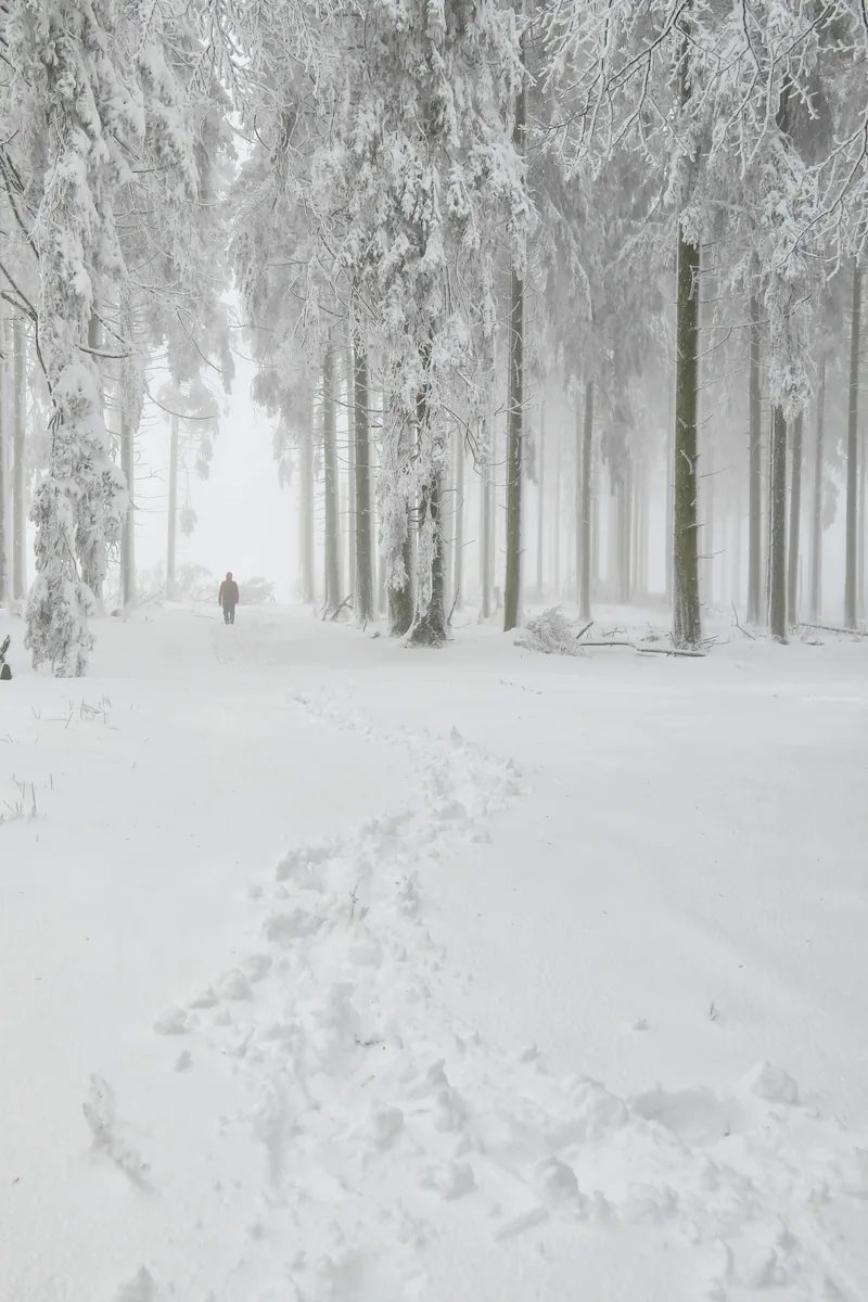 Einsamer Wanderer auf dem verschneiten Saar-Hunsrück-Steig