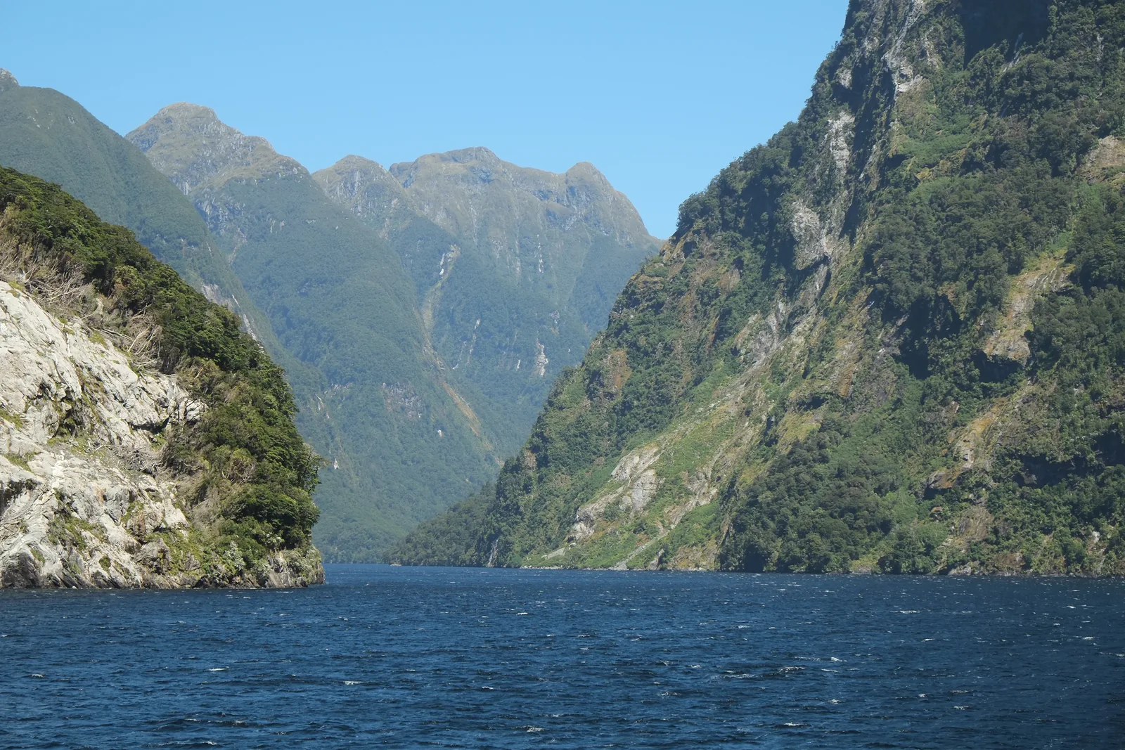 Der Crooked Arm des Doubtful Sound im Fiordland-Nationalpark: tiefblaues Wasser zwischen steilen, dicht bewaldeten Bergen