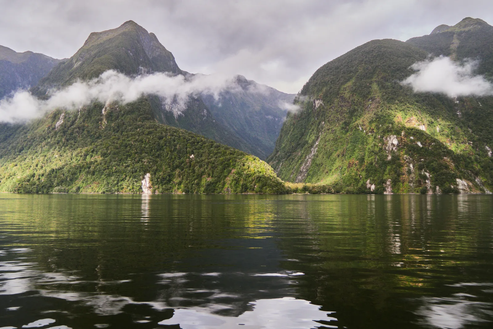 Der Doubtful Sound im Fiordland-Nationalpark: stilles, dunkles Wasser, darüber steile, bewaldete Bergflanken mit tief hängenden Wolkenbändern