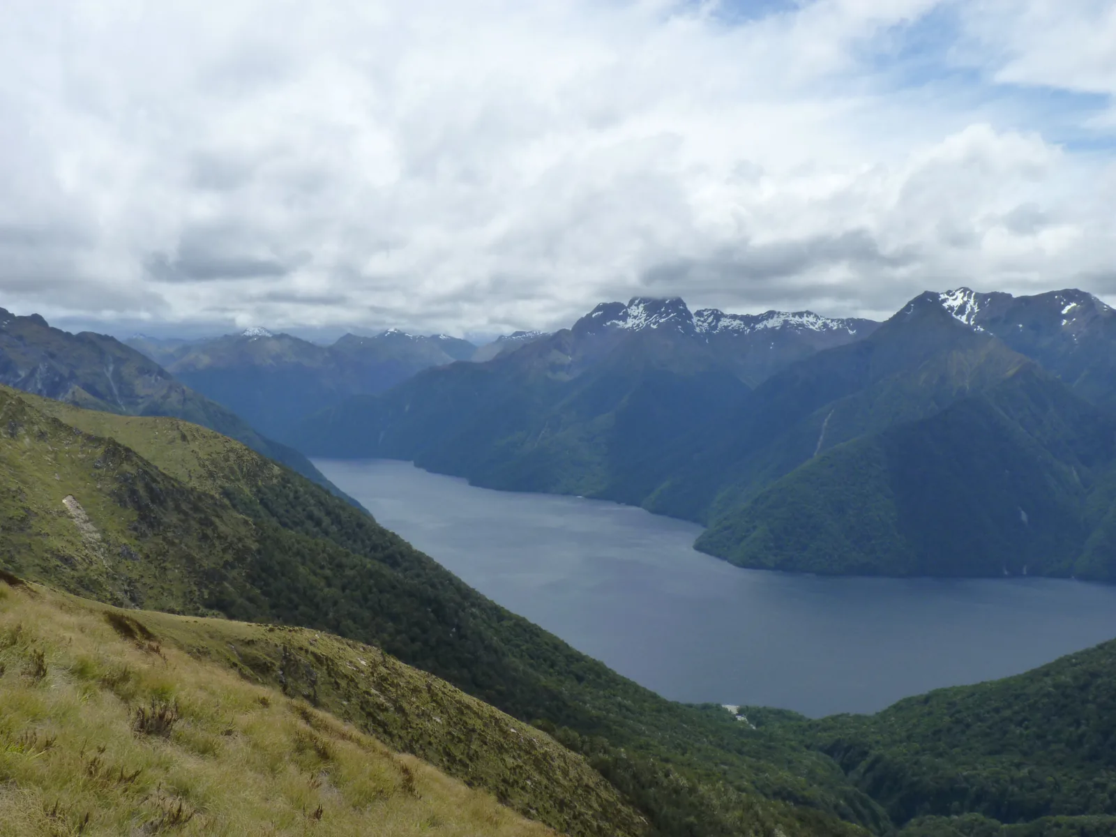 Vom Kepler Track im Fiordland-Nationalpark fällt der Blick über Grashänge hinab auf den South Fiord des Lake Te Anau und die Murchison Mountains