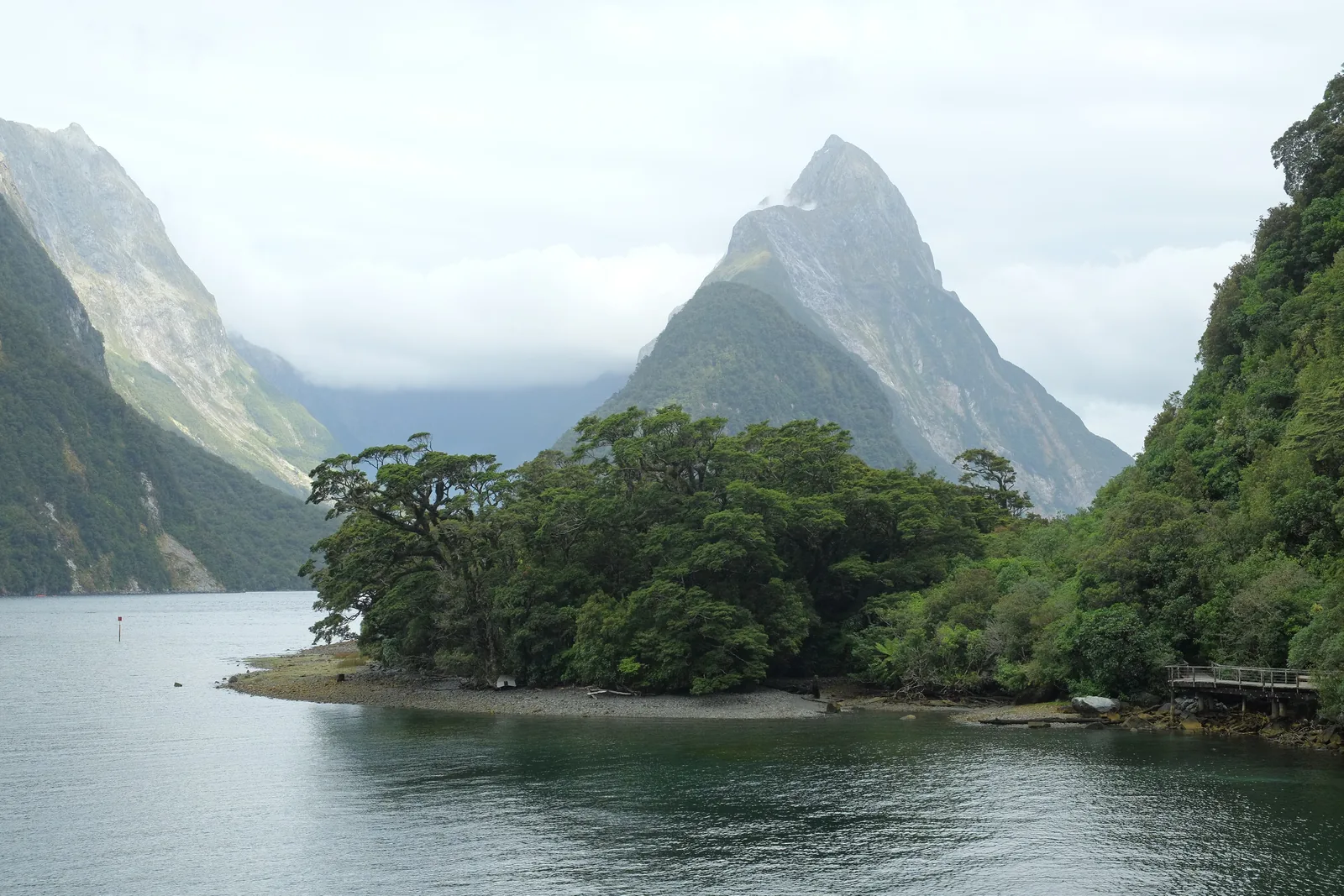 Der Mitre Peak im Fiordland-Nationalpark, vom Freshwater Basin am Milford Sound aus gesehen, davor eine bewaldete Landzunge im ruhigen Wasser