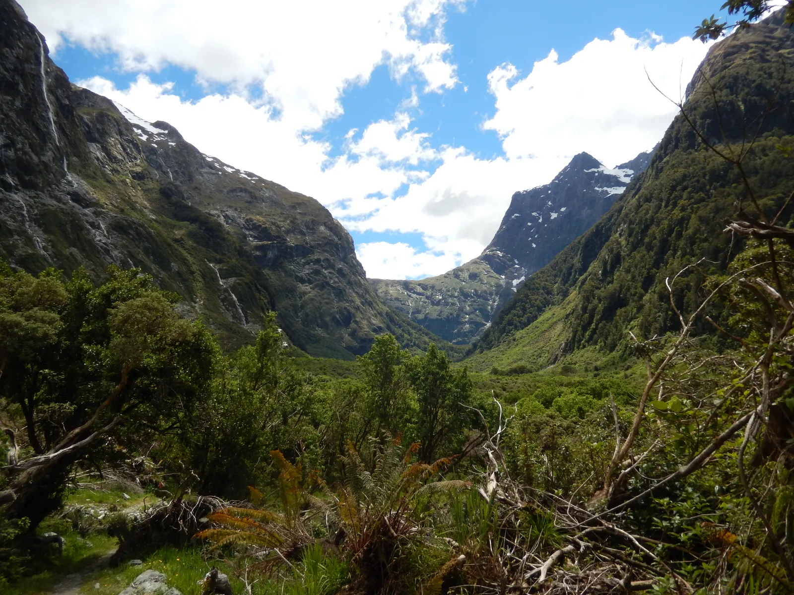 Blick vom Milford Track im Fiordland-Nationalpark durch ein grünes Tal hinauf zum Omanui/McKinnon Pass zwischen steilen Bergflanken