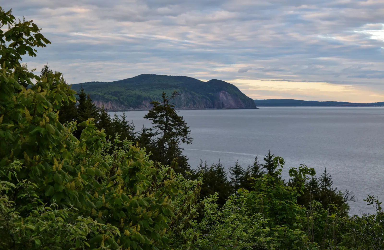 Blick über die Bay of Fundy an der Herring Cove: bewaldete Hänge fallen zur ruhigen Bucht ab, am Horizont die gegenüberliegende Küste