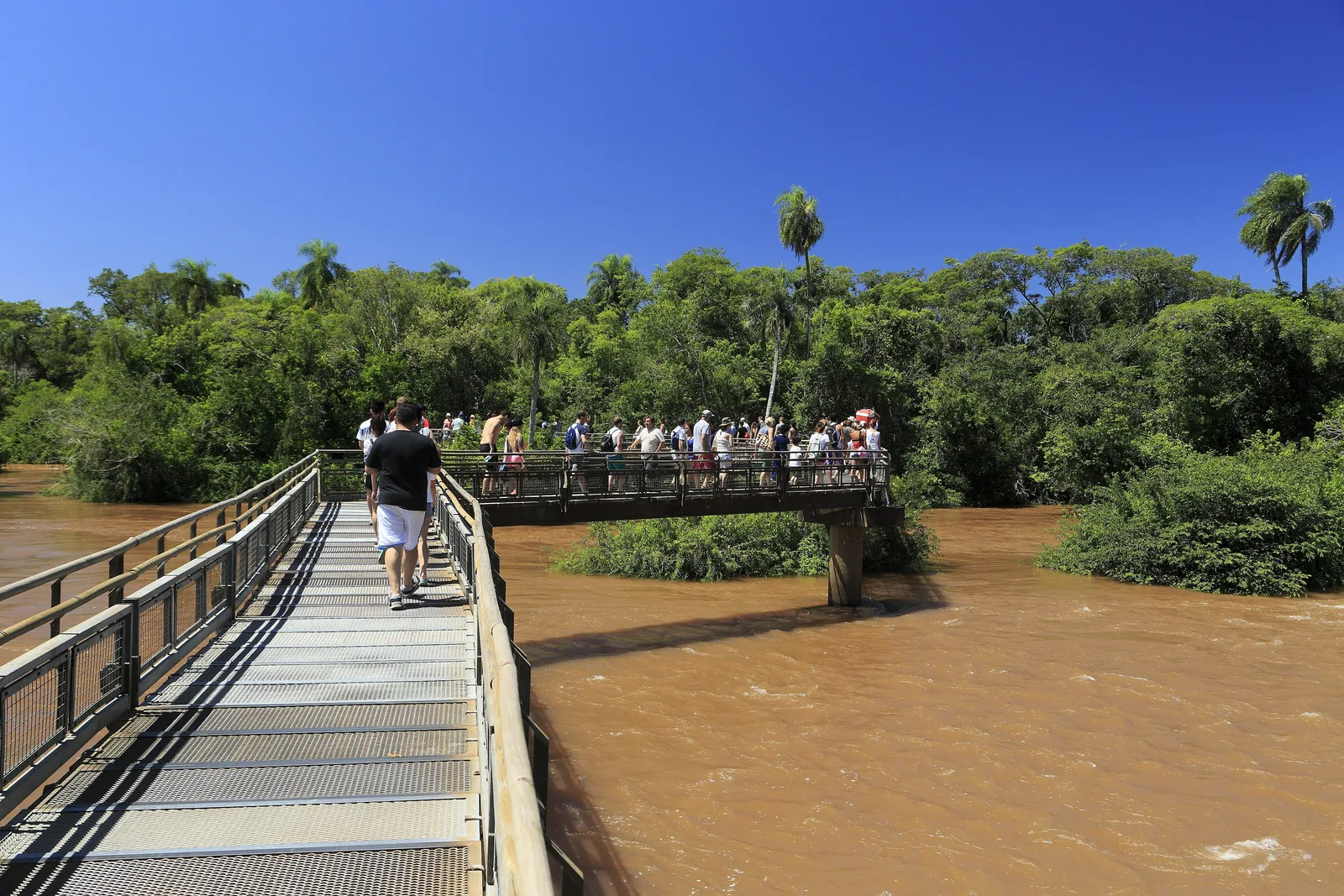 Der Steg zur Garganta del Diablo führt über braunes Hochwasser des Iguazú zu einer bewaldeten Insel, auf der Brücke gehen Besucher