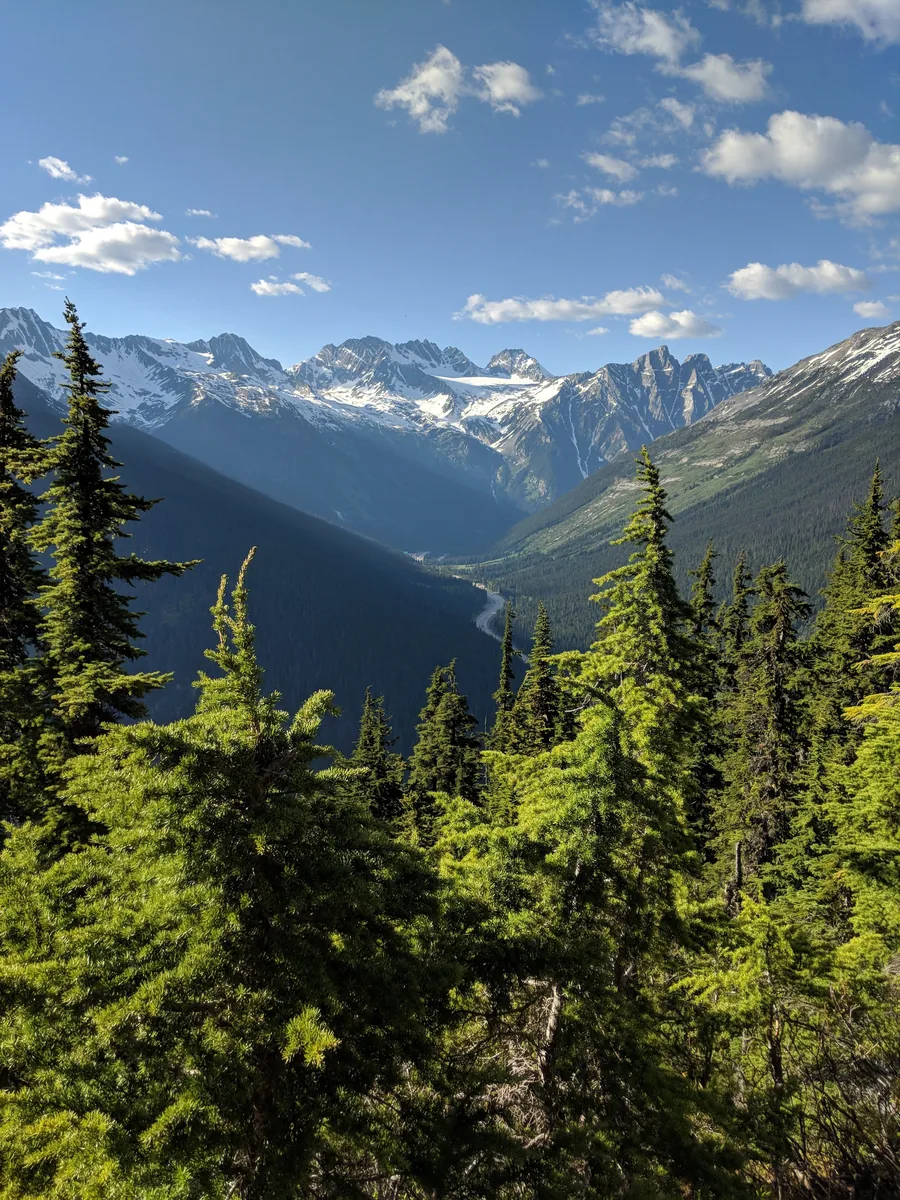 Blick von einem hoch gelegenen Waldweg über das Illecillewaet-Tal mit dem Highway im Talgrund auf vergletscherte Gipfel