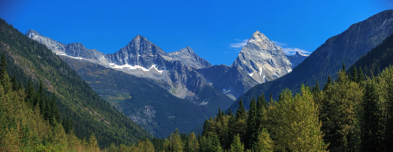 Panorama der Selkirk-Berge mit der spitzen Felspyramide des Mount Sir Donald über dunklem Nadelwald