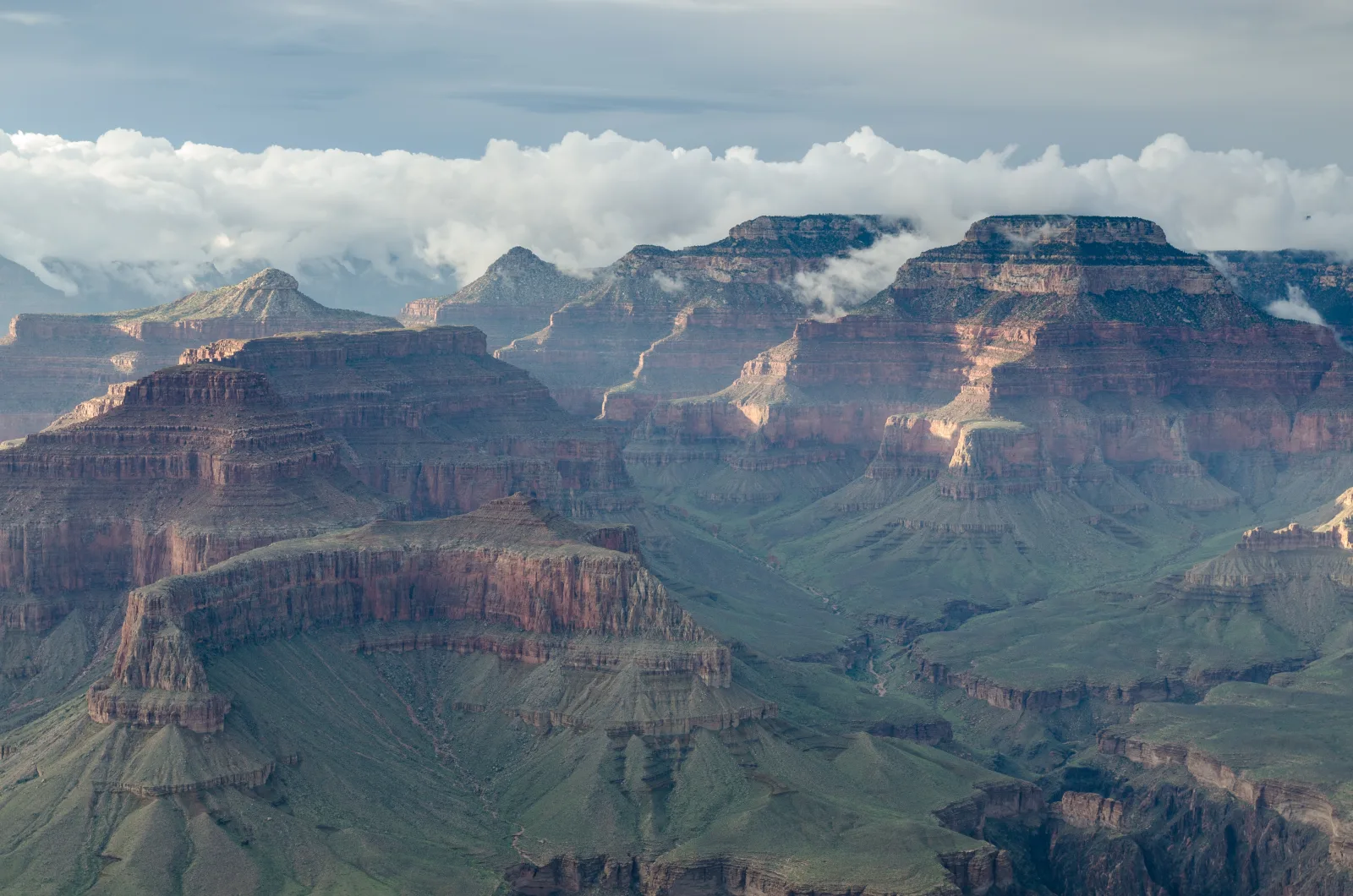 Warmes Abendlicht auf den Felsstufen des Grand Canyon, aufgenommen vom Hopi Point am South Rim