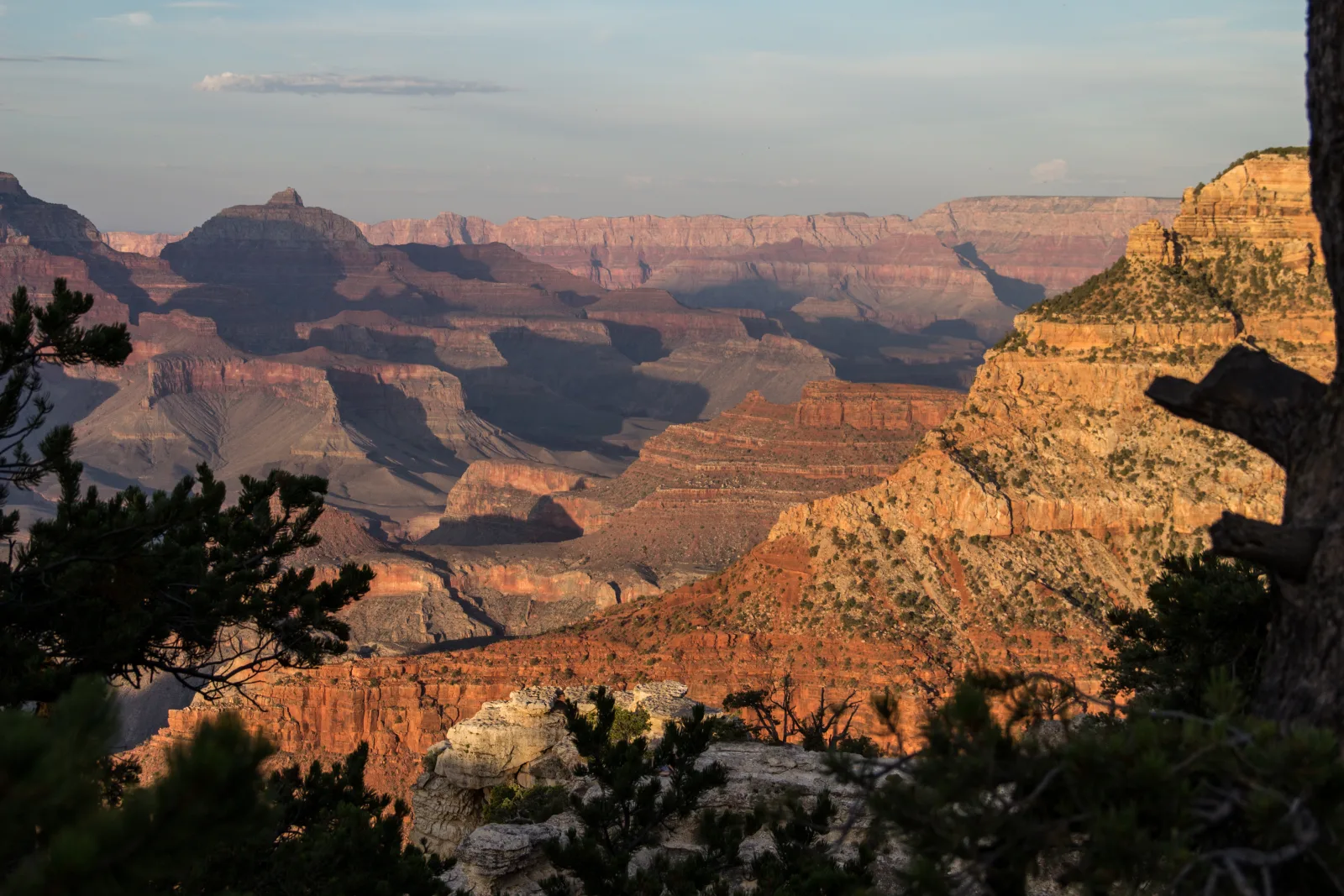 Abendlicht auf den gestuften Felsterrassen des Grand Canyon, gesehen vom South Rim nahe Tusayan