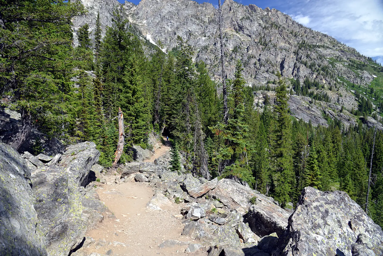 Steiniger Pfad am Ufer des Jenny Lake zwischen Nadelbäumen, dahinter die Felswände der Teton Range