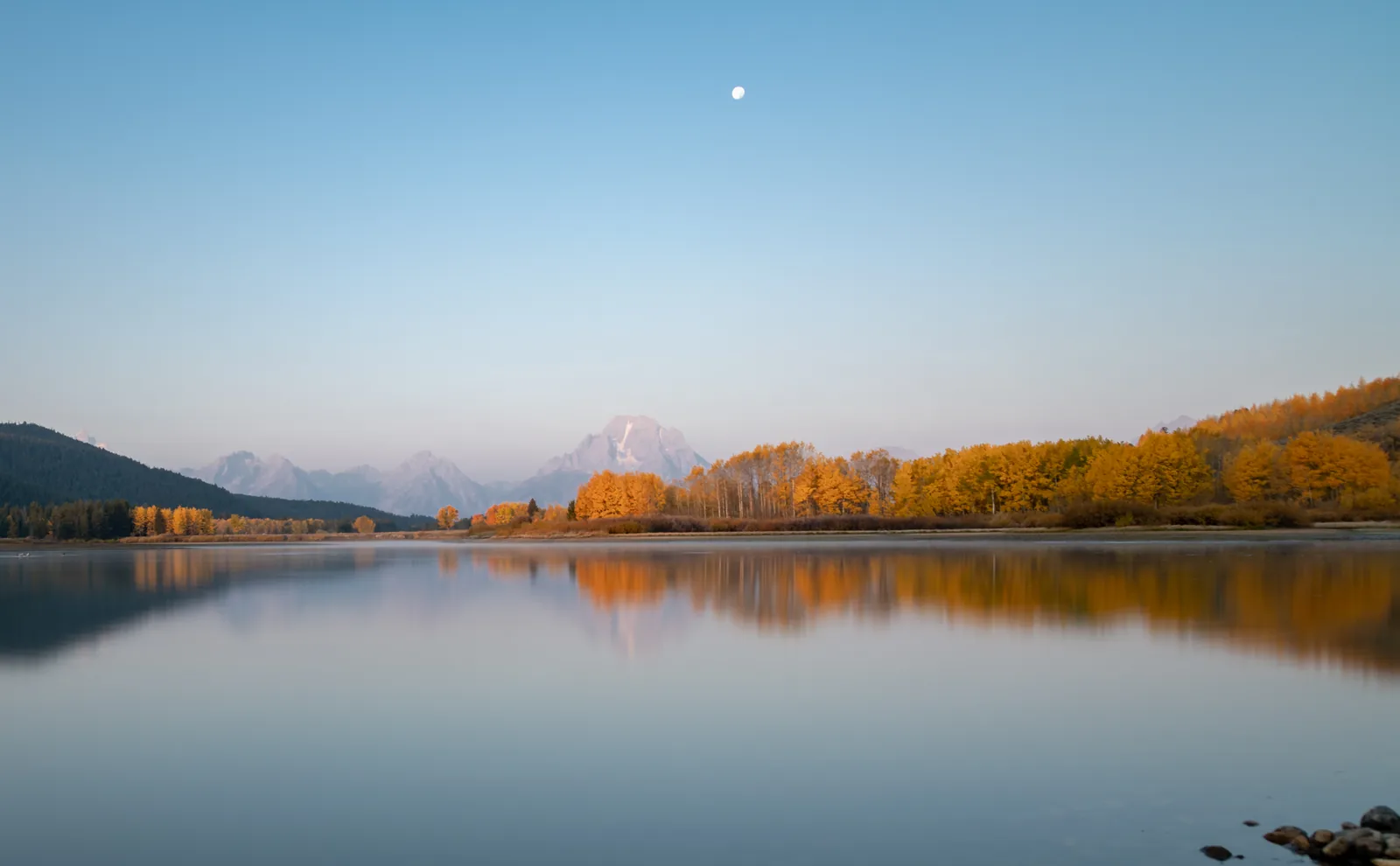 Der Snake River am Oxbow Bend spiegelt bei Windstille den Morgenhimmel, am Ufer herbstlich gelbe Pappeln, dahinter die Bergkette