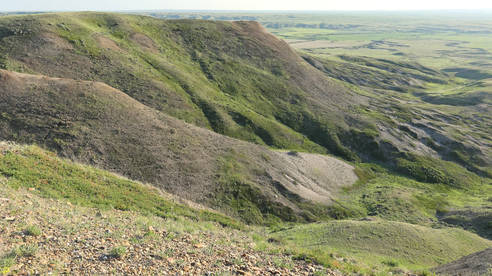 Blick von einer Anhöhe über grün bewachsene Hügelrücken und helle Erosionsrinnen hinaus in die flache Prärie