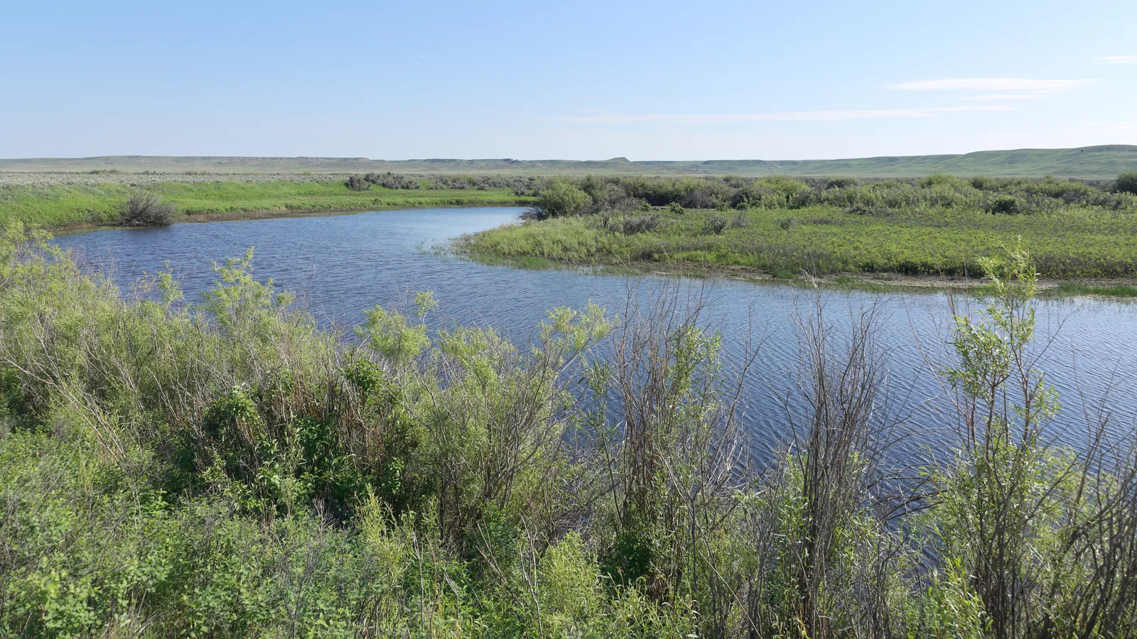 Ein ruhiger Fluss schlängelt sich durch grünes Grasland mit Weidenbüschen, am Horizont niedrige Tafelberge