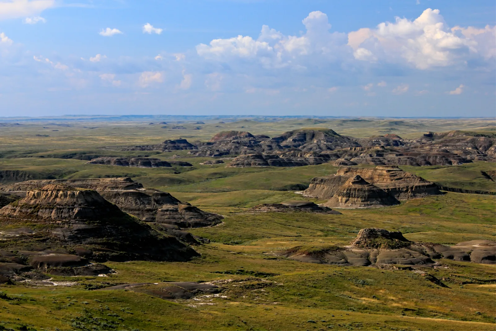 Geschichtete Erdpyramiden der Badlands liegen wie Inseln in einer grünen Prärie, darüber Kumuluswolken