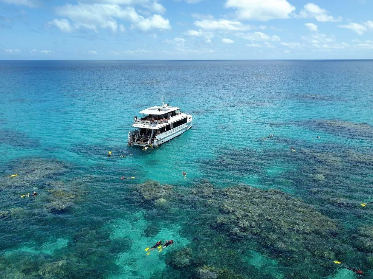 Angebotsfoto: Port Douglas: Schnorcheln am Außenriff mit Meeresbiologen