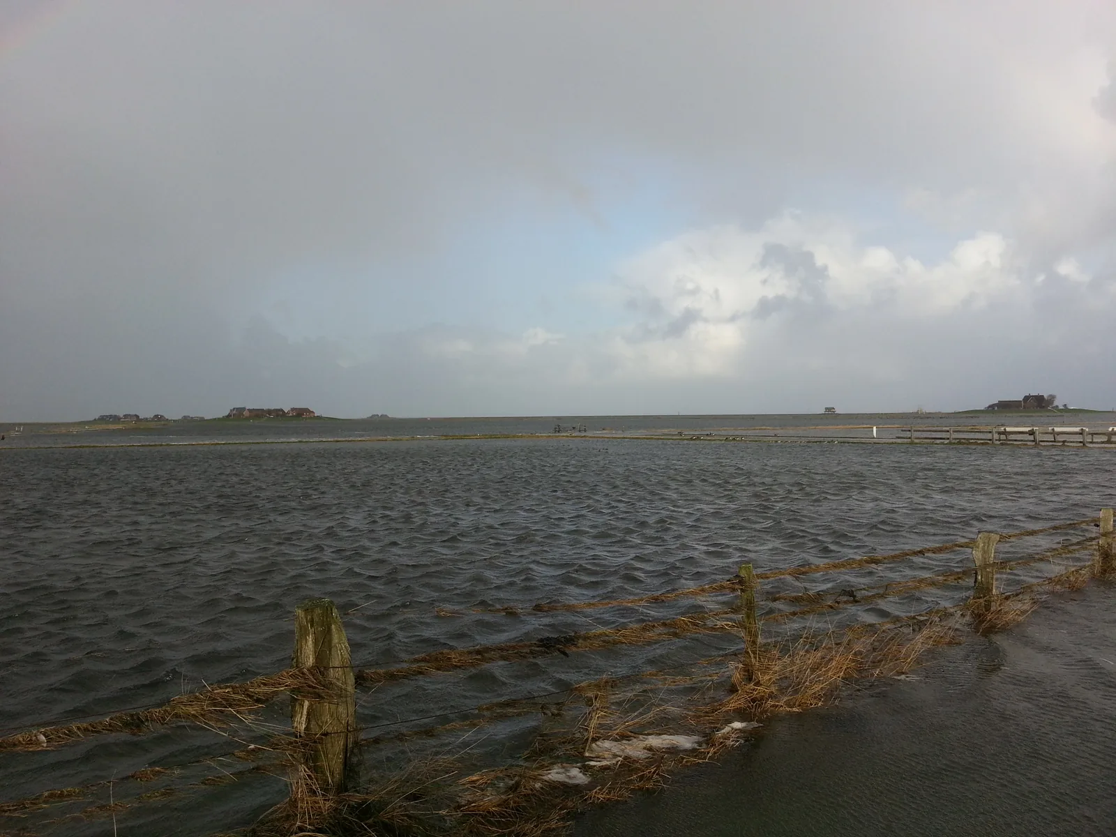 Landunter auf der Hallig Hooge: Wasser steht über der Salzwiese bis an die Zäune, hinten die Warften