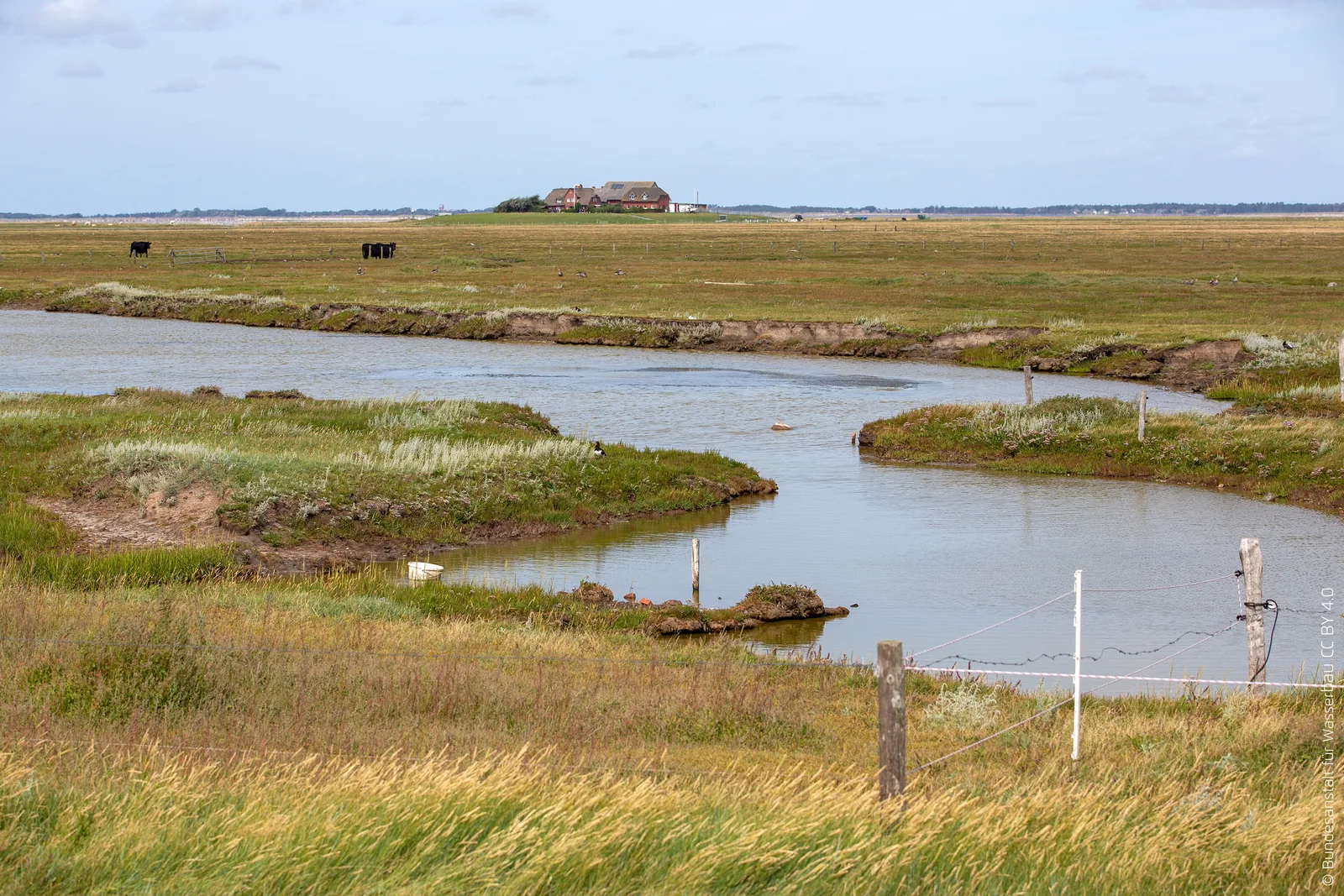 Priel durch die Salzwiese der Hallig Langeneß, im Hintergrund eine Warft mit Häusern