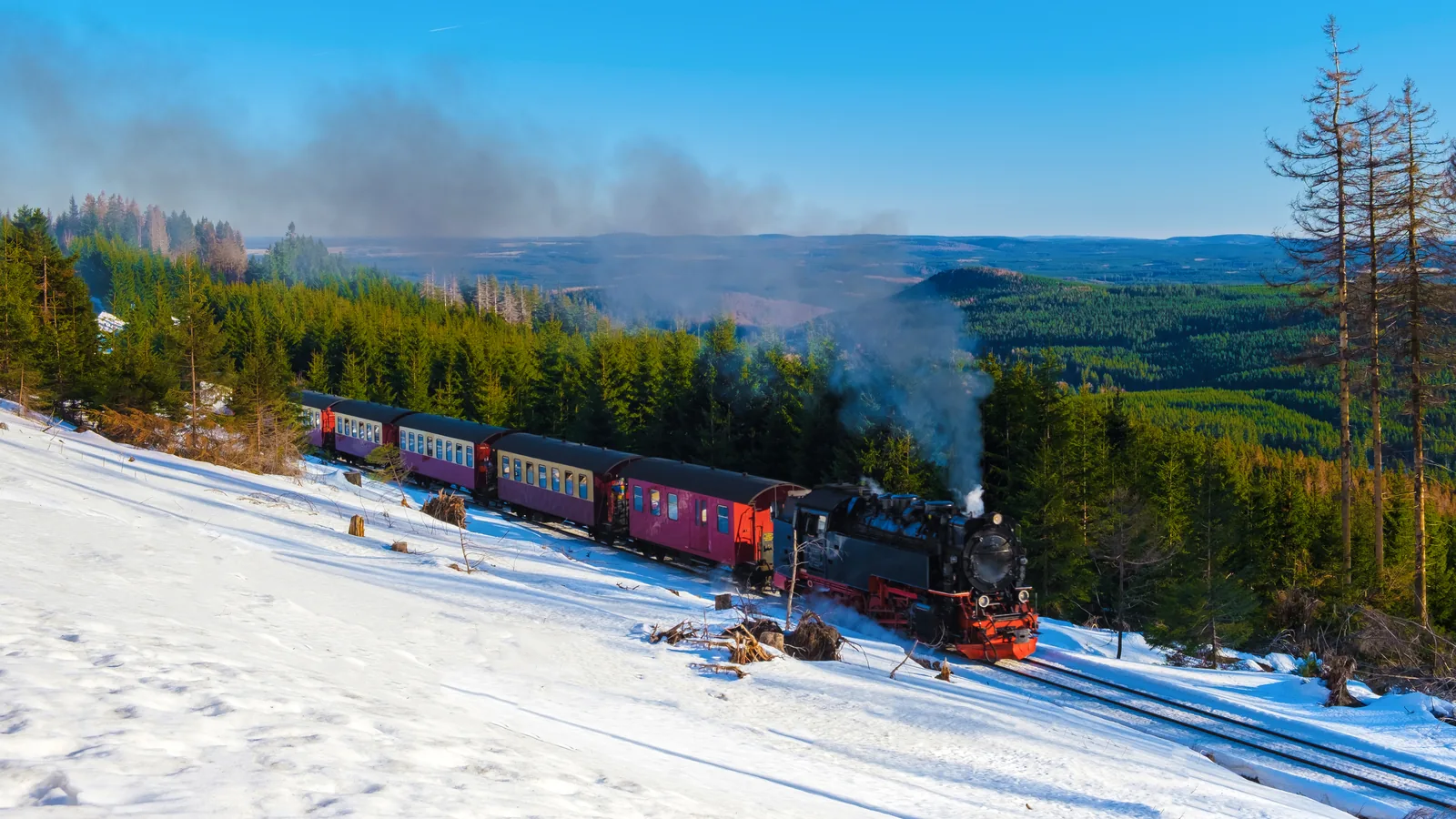 Dampfzug der Brockenbahn im Schnee, dahinter bewaldete Harzhöhen mit abgestorbenen Fichten