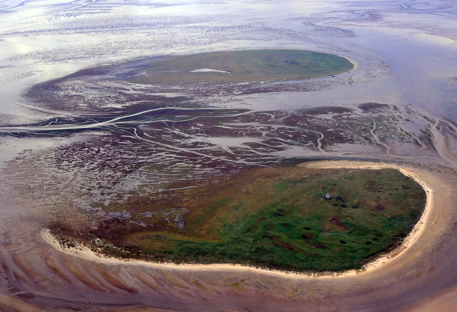 Luftbild der Vogelschutzinseln Scharhörn und Nigehörn: zwei grüne Inselkerne, umringt von hellem Sand und Prielen im Watt