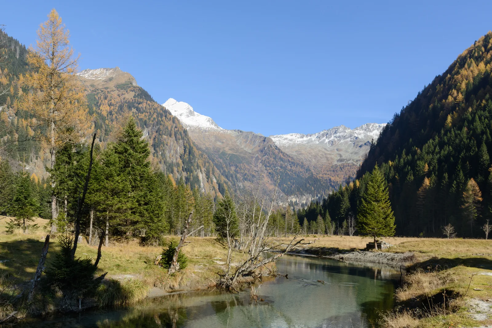 Das Seebachtal im Herbst mit Lärchen, einem Bach und dem schneebedeckten Ankogel