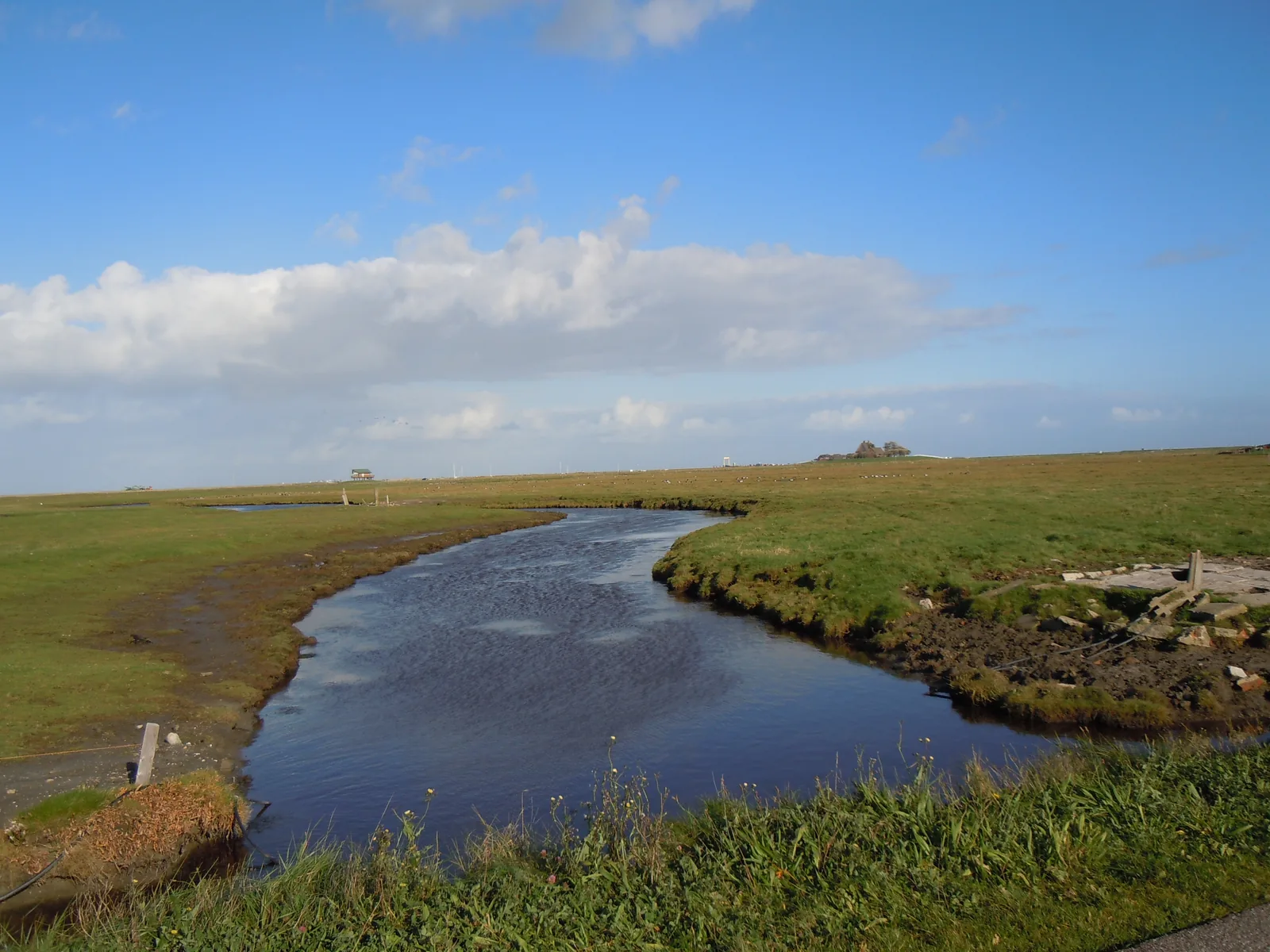 Ein Priel auf Hallig Hooge