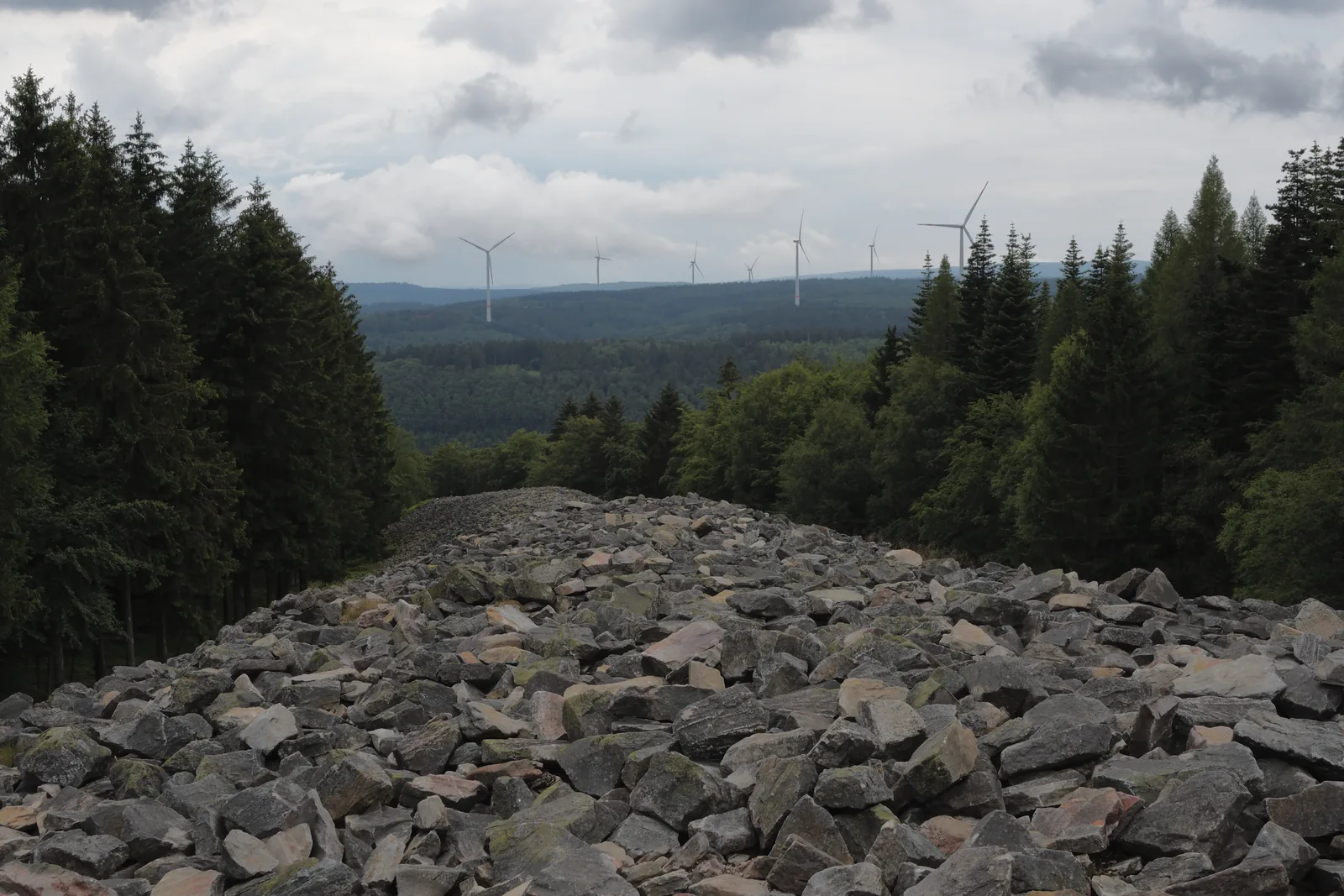 Der Nordwall der Keltenburg bei Otzenhausen: ein langgestreckter Wall aus losem Gestein, dahinter Wald