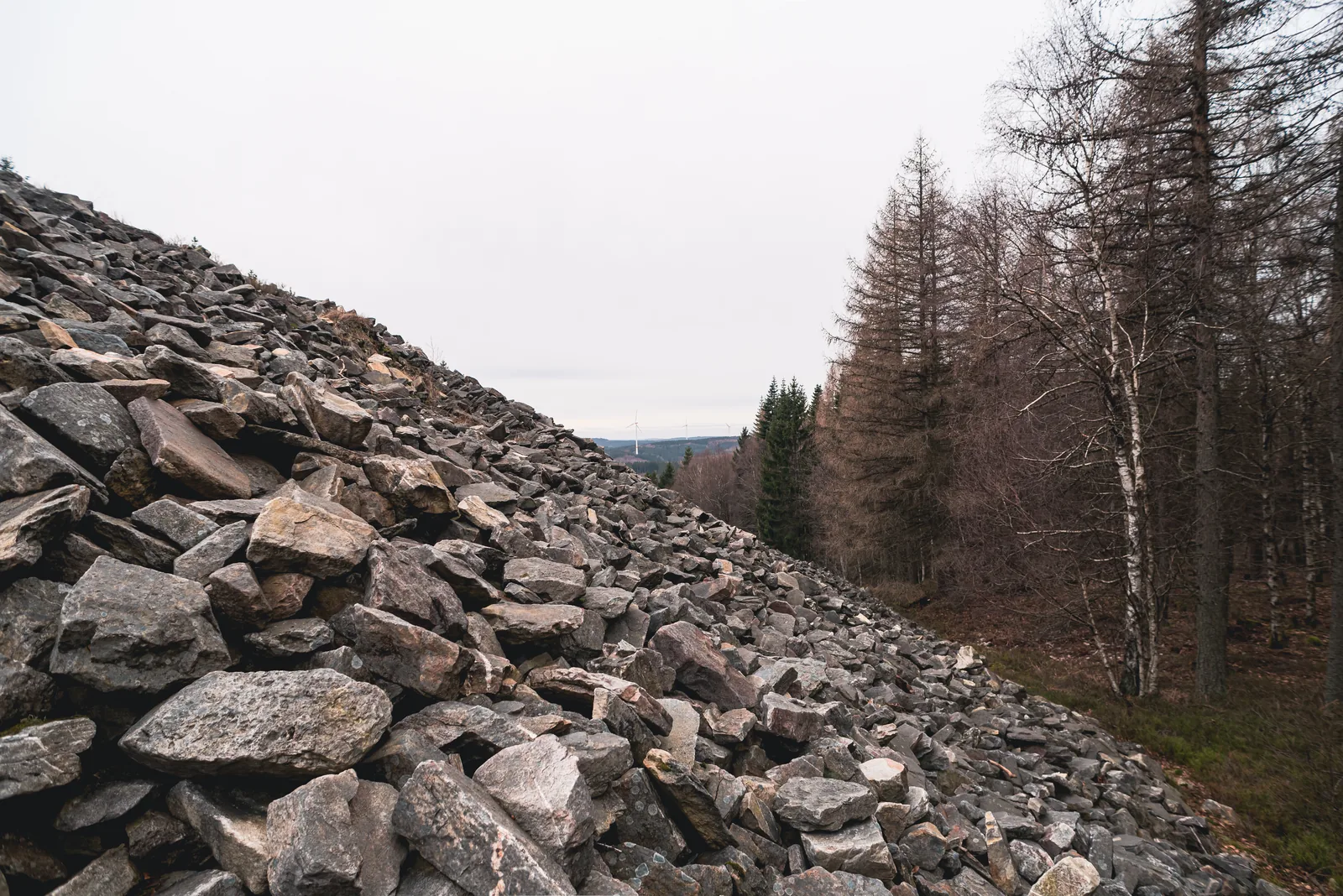 Blick vom Aufstieg zum Ringwall Otzenhausen nach Westen über Geröll und Wald, am Horizont drei Windräder