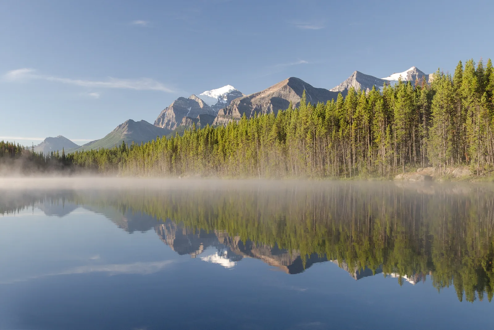 Morgennebel über dem Herbert Lake, in dem sich Wald und Gipfel spiegeln