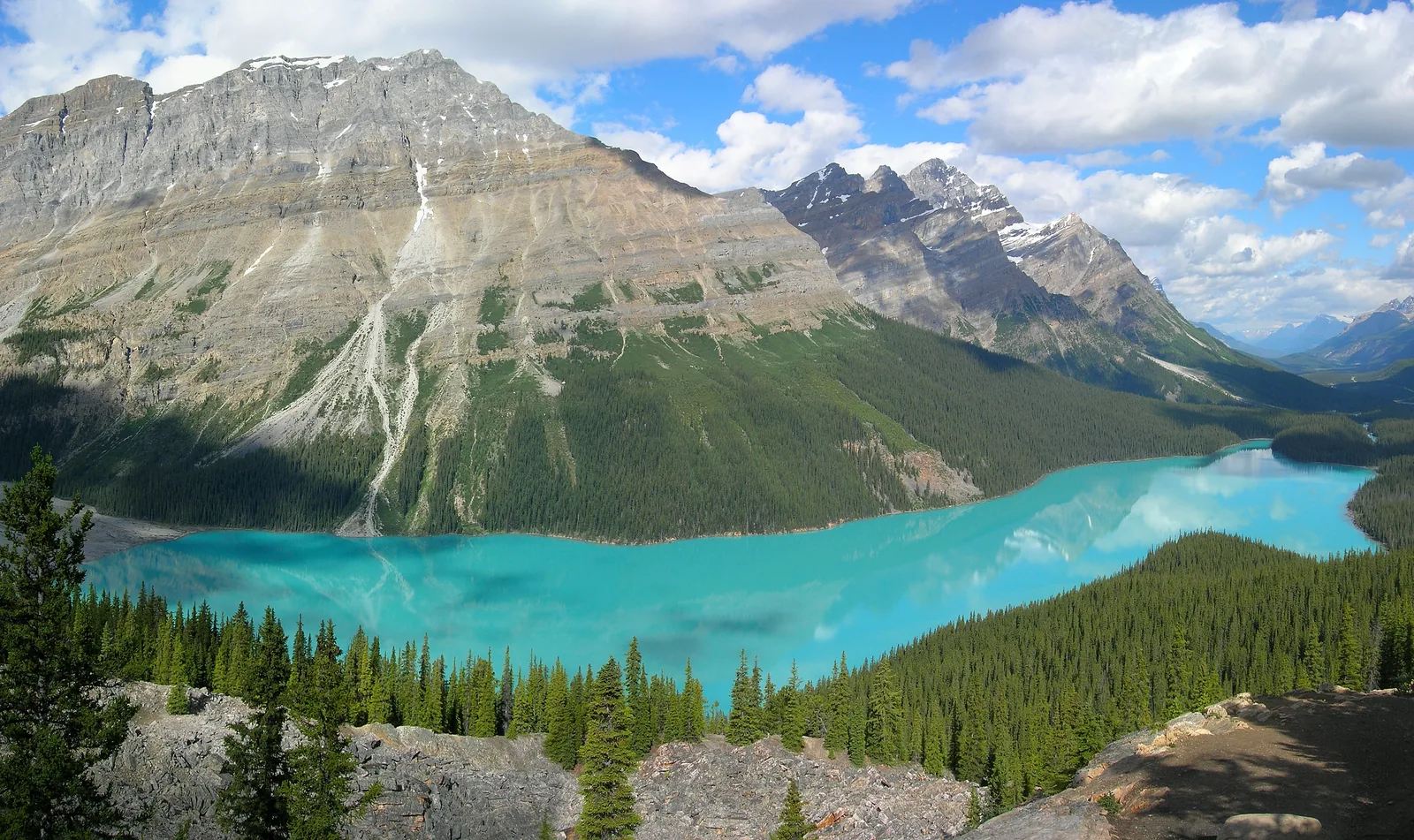 Der türkisfarbene Peyto Lake zwischen bewaldeten Hängen, von oben gesehen
