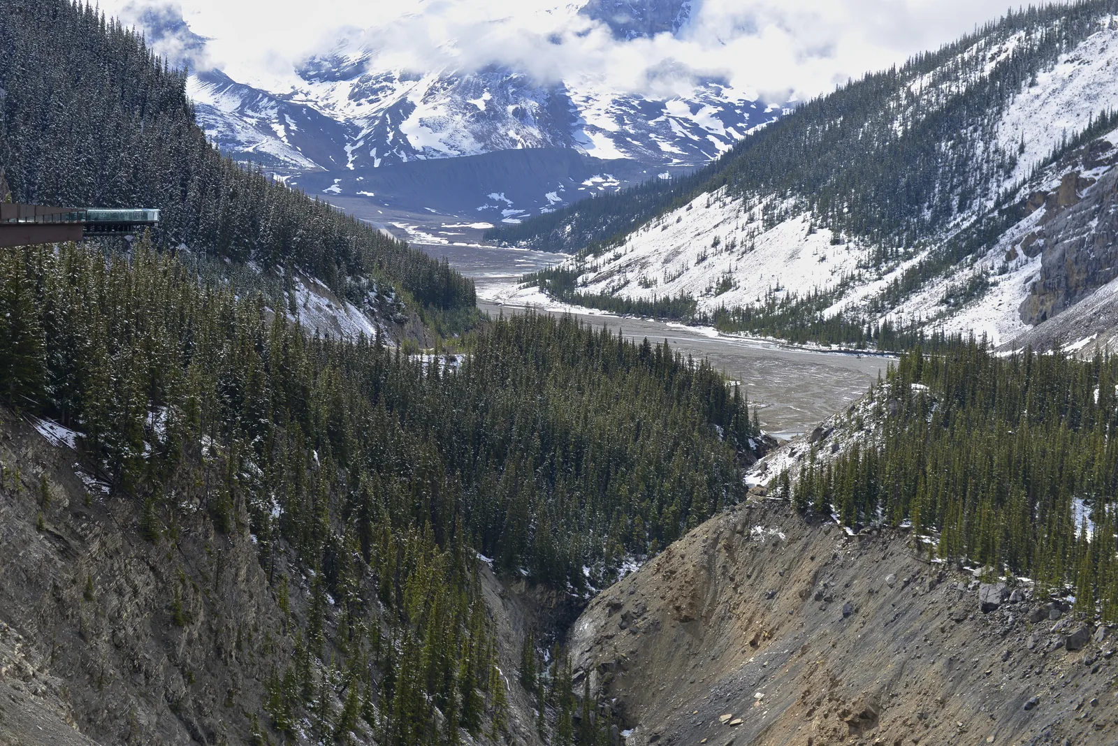 Der Glacier Skywalk ragt über ein bewaldetes Tal mit Kiesbett, dahinter verschneite Berge