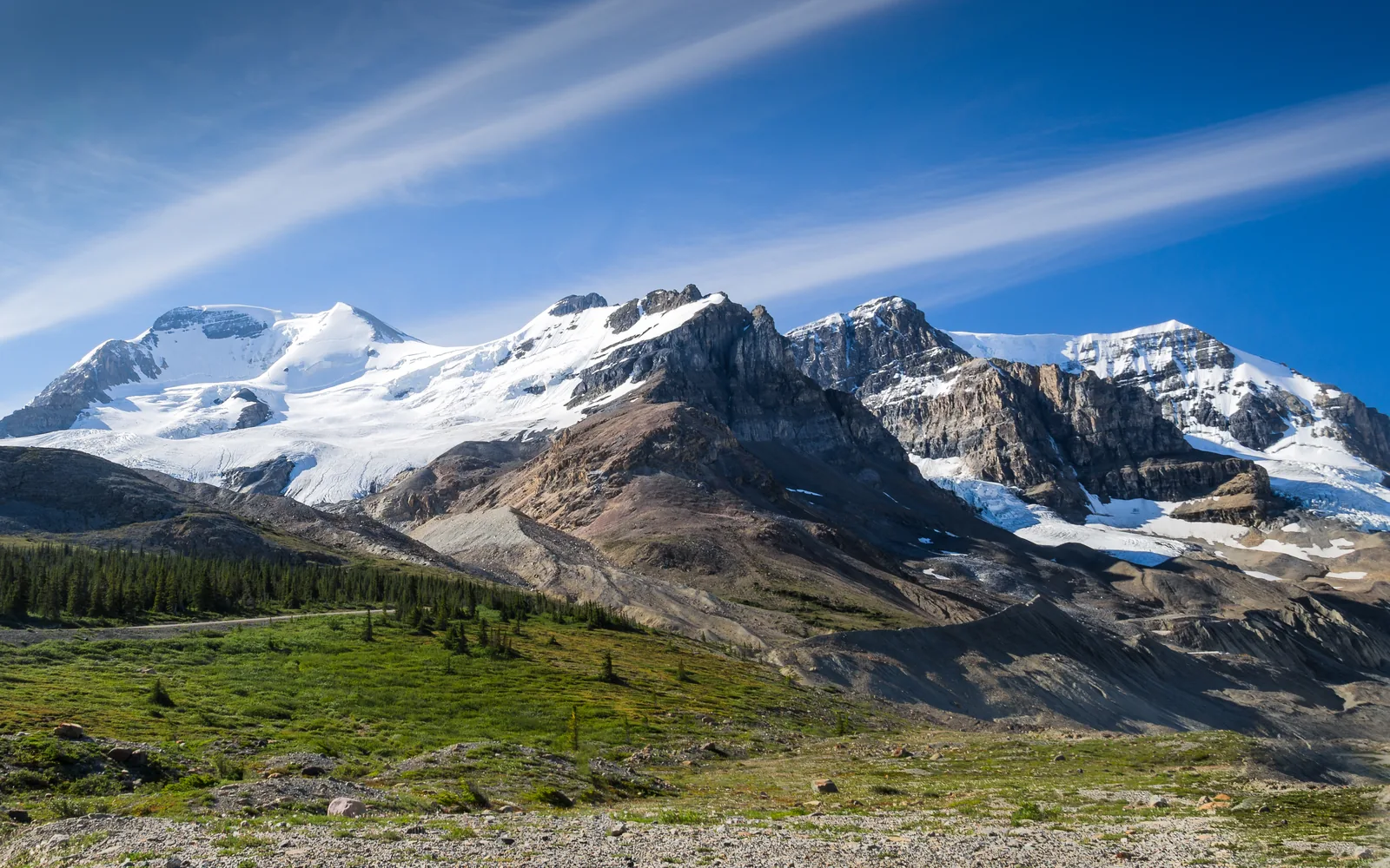 Vergletscherte Gipfel am Columbia Icefield über einer grünen Hochfläche am Icefields Parkway