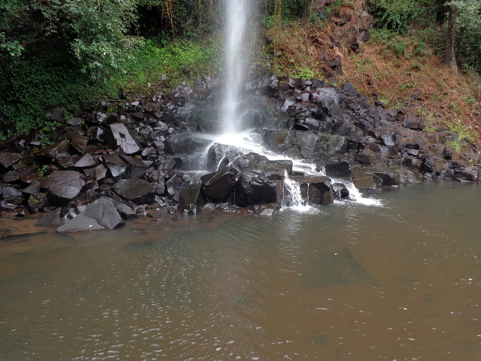 Der Salto Arrechea am Ende des Sendero Macuco fällt als schmaler Strahl über schwarze Basaltfelsen in ein bräunliches Becken