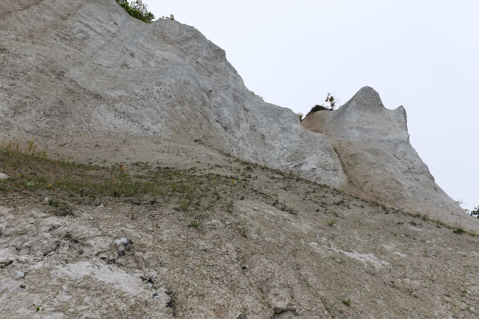 Die steile weiße Kreidewand der Wissower Klinken vom Geröllstrand aus gesehen