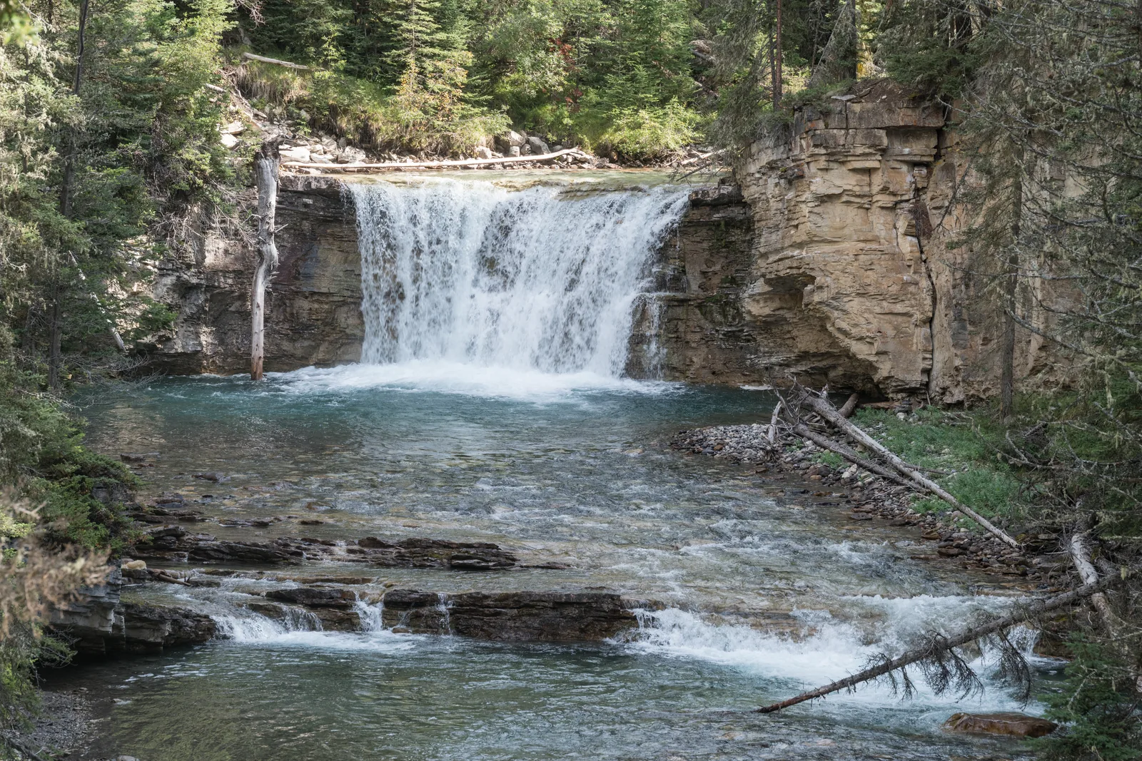 Breite Kaskade im Johnston Canyon zwischen Kalkfelsen und Nadelwald