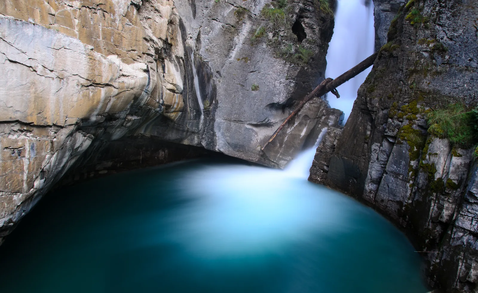 Die Lower Falls im Johnston Canyon stürzen in ein türkisfarbenes Becken unter der Felswand