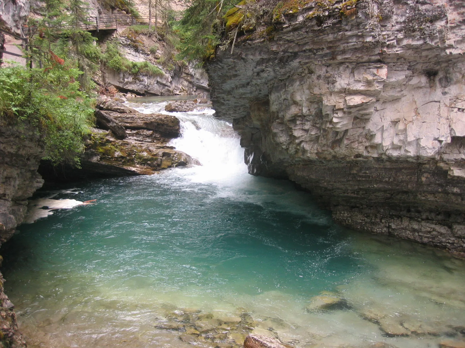 Der Johnston Creek fließt durch eine enge Felsschlucht mit einer kleinen Stufe