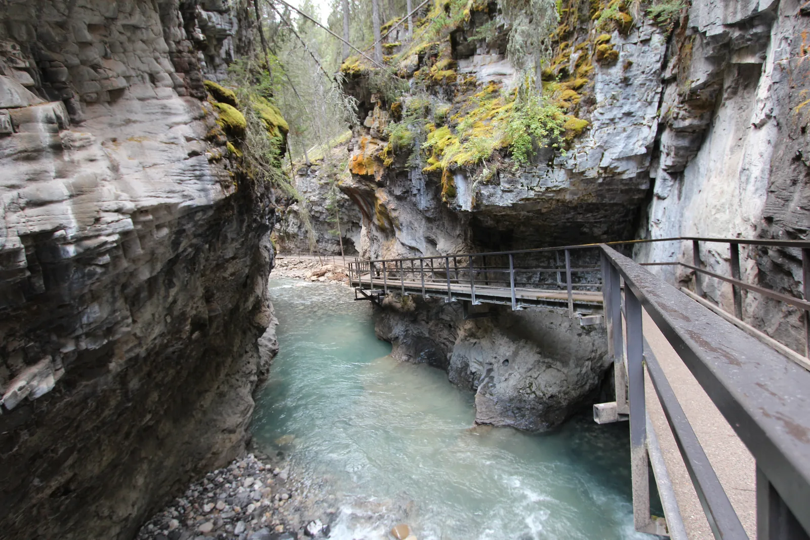 Metallsteg mit Geländer an der Felswand des Johnston Canyon über dem türkisfarbenen Bach