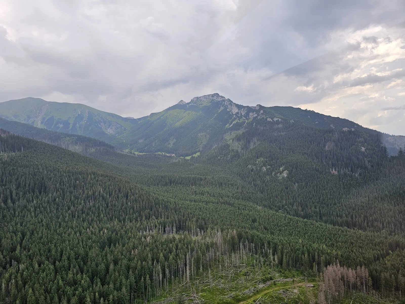 Bewaldete Täler am Kasprowy Wierch im Juli, dahinter grüne Bergrücken unter Wolken
