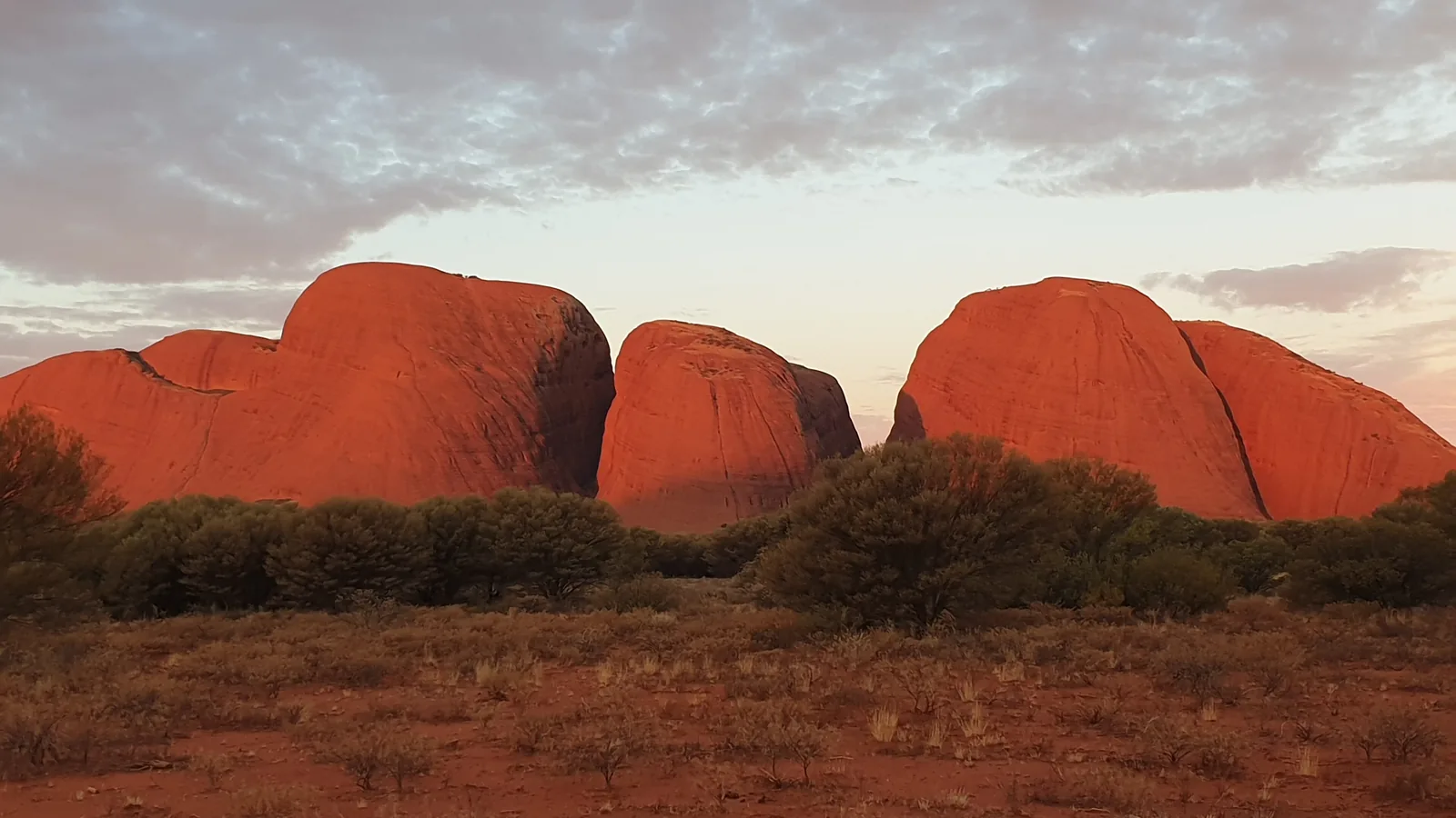 Vier große Kuppeln von Kata Tjuṯa im Uluṟu-Kata-Tjuṯa-Nationalpark leuchten bei Sonnenuntergang rot unter grauen Wolken, davor Buschland