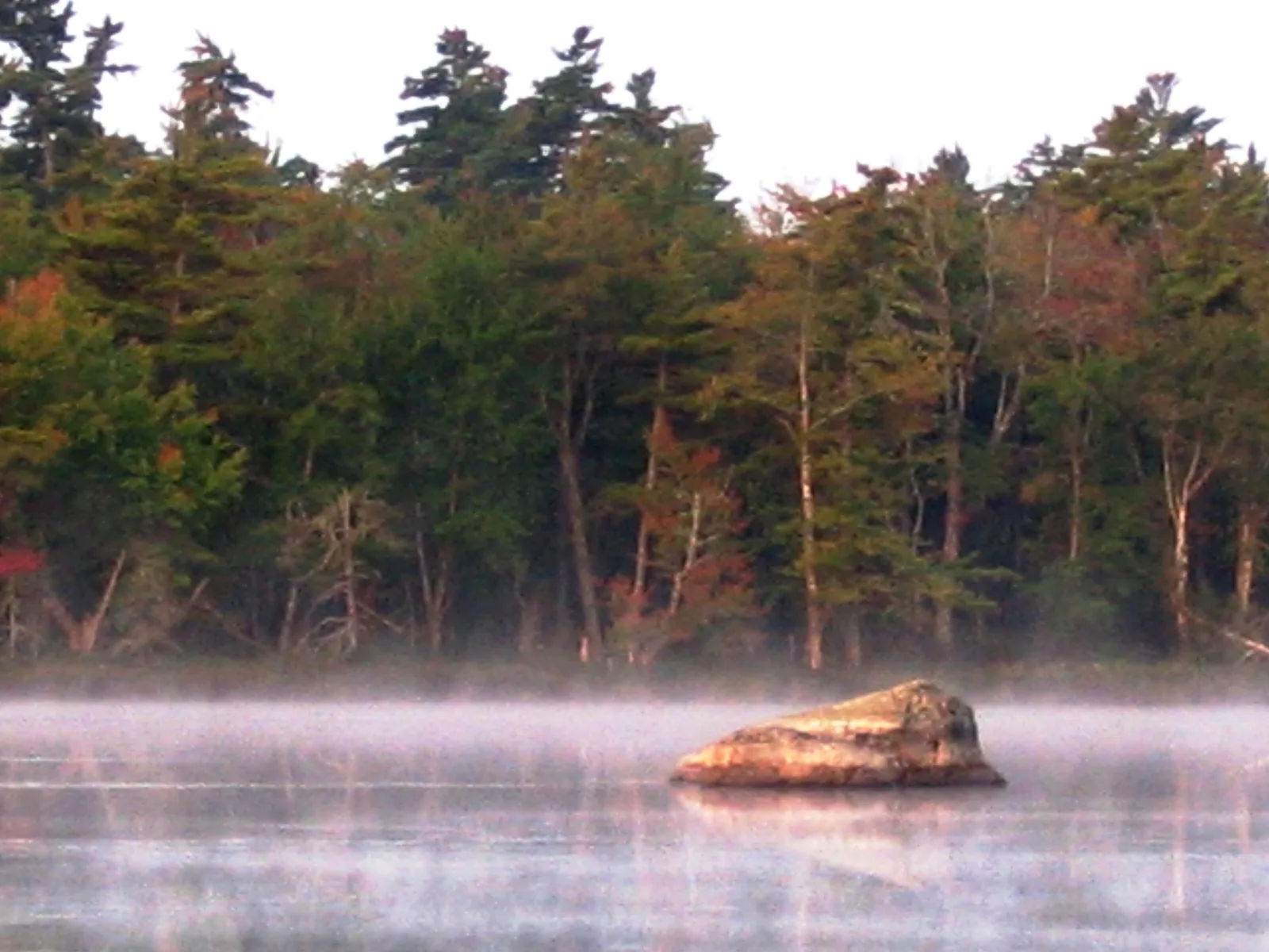 Morgennebel über einem stillen See, ein heller Findling ragt aus dem Wasser, dahinter herbstlicher Wald