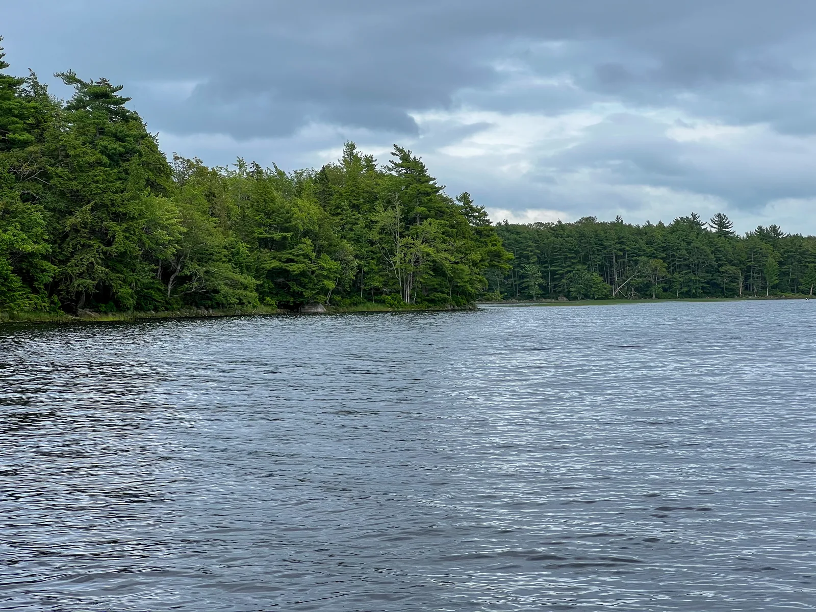 Dunkles, leicht bewegtes Seewasser vor einem dicht bewaldeten Ufer unter grauem Wolkenhimmel