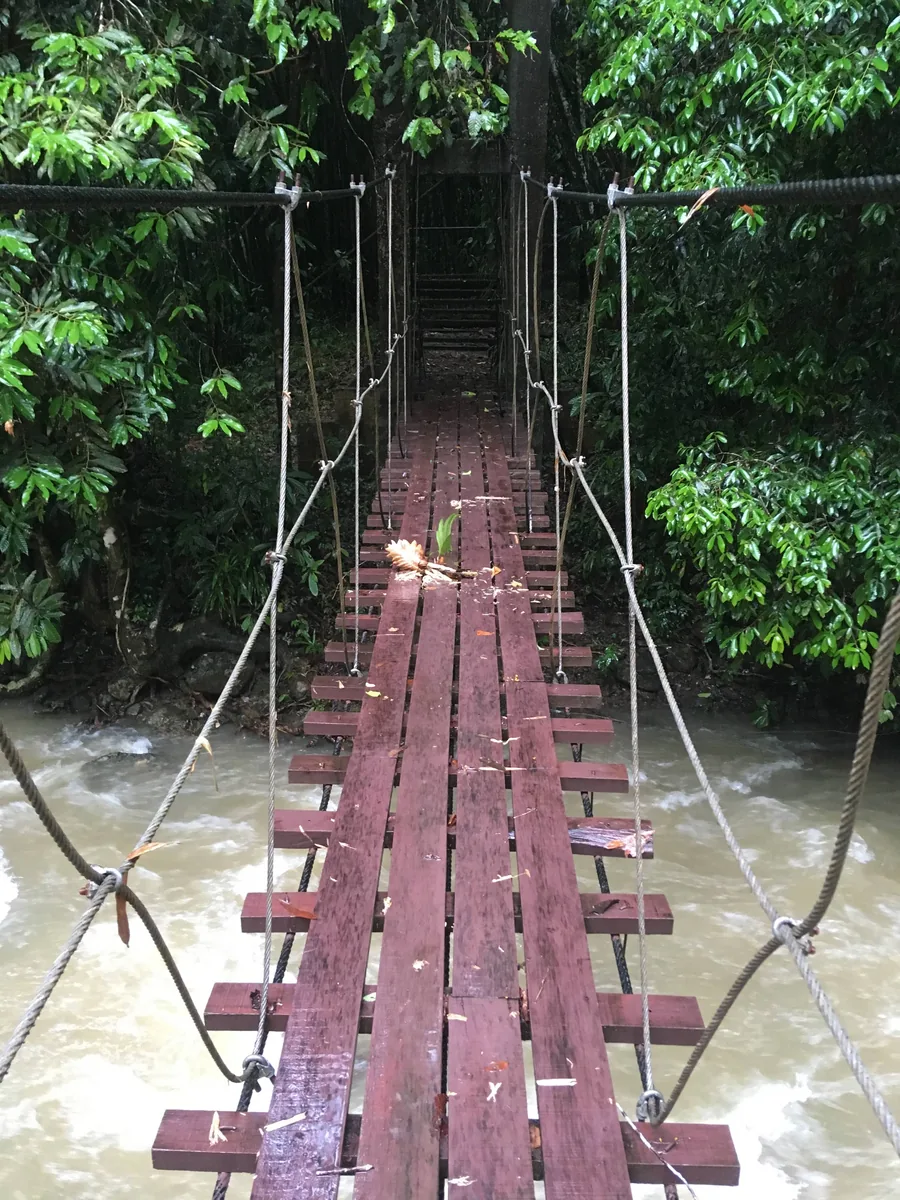 Eine schmale Hängebrücke aus Holzplanken und Drahtseilen führt über einen braunen, rasch fließenden Fluss in dichtem Grün