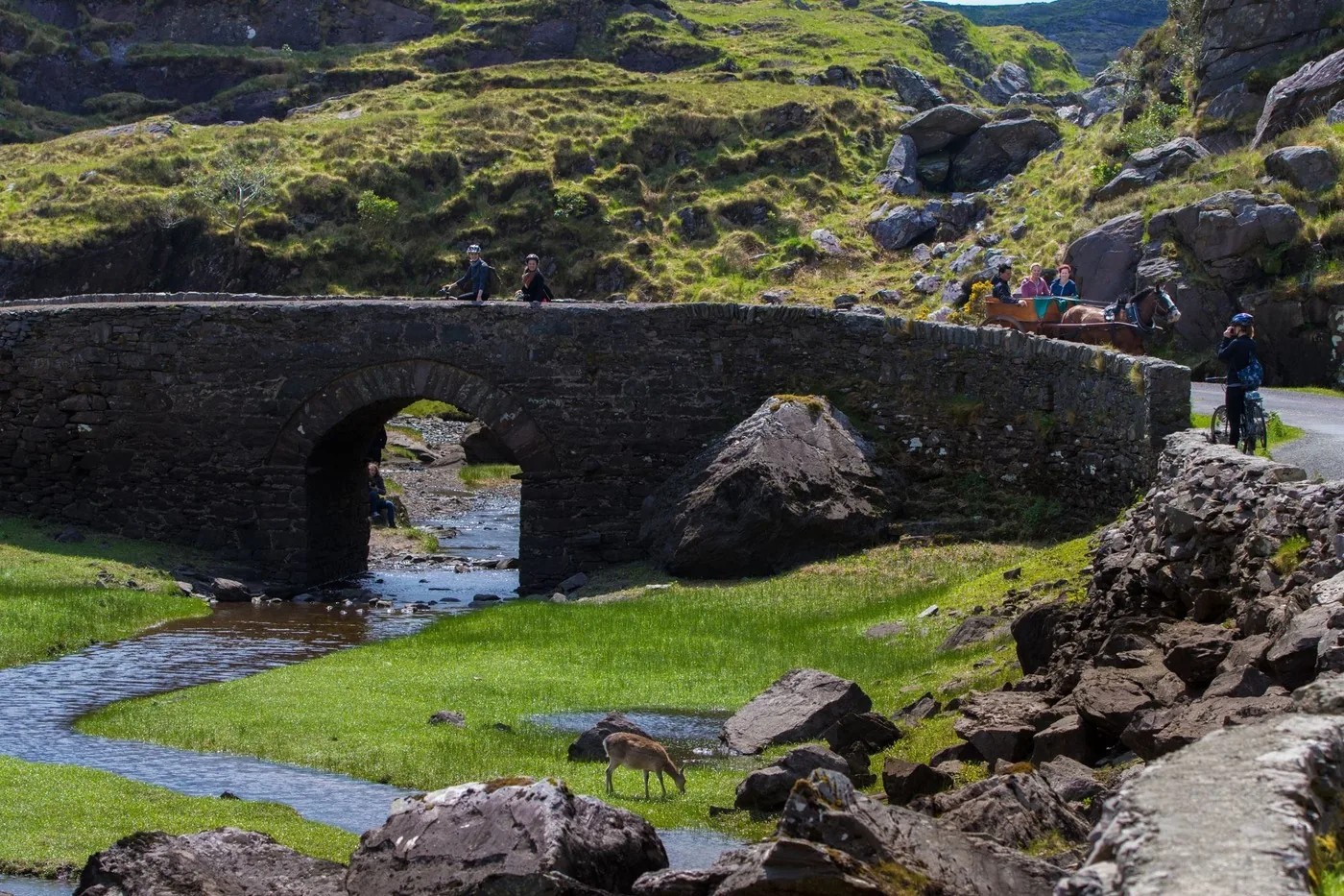 Angebotsfoto: Gap of Dunloe und Bootsfahrt über die Seen von Killarney