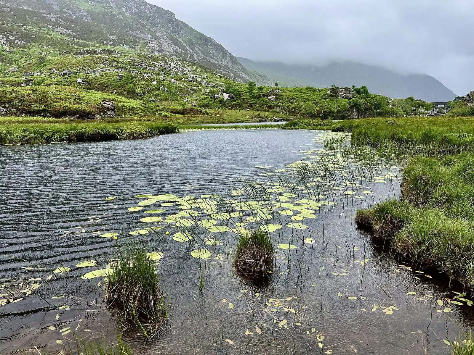 Die Straße durch das Gap of Dunloe bei Killarney im Frühling, zwischen grünen Hängen und Felsen