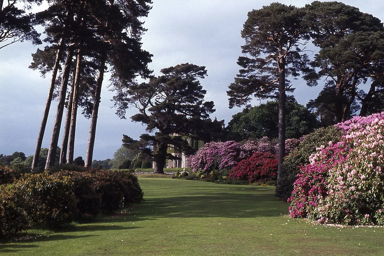 Gepflegte Gärten mit Blumenbeeten und hohen Bäumen am Muckross House im Killarney-Nationalpark