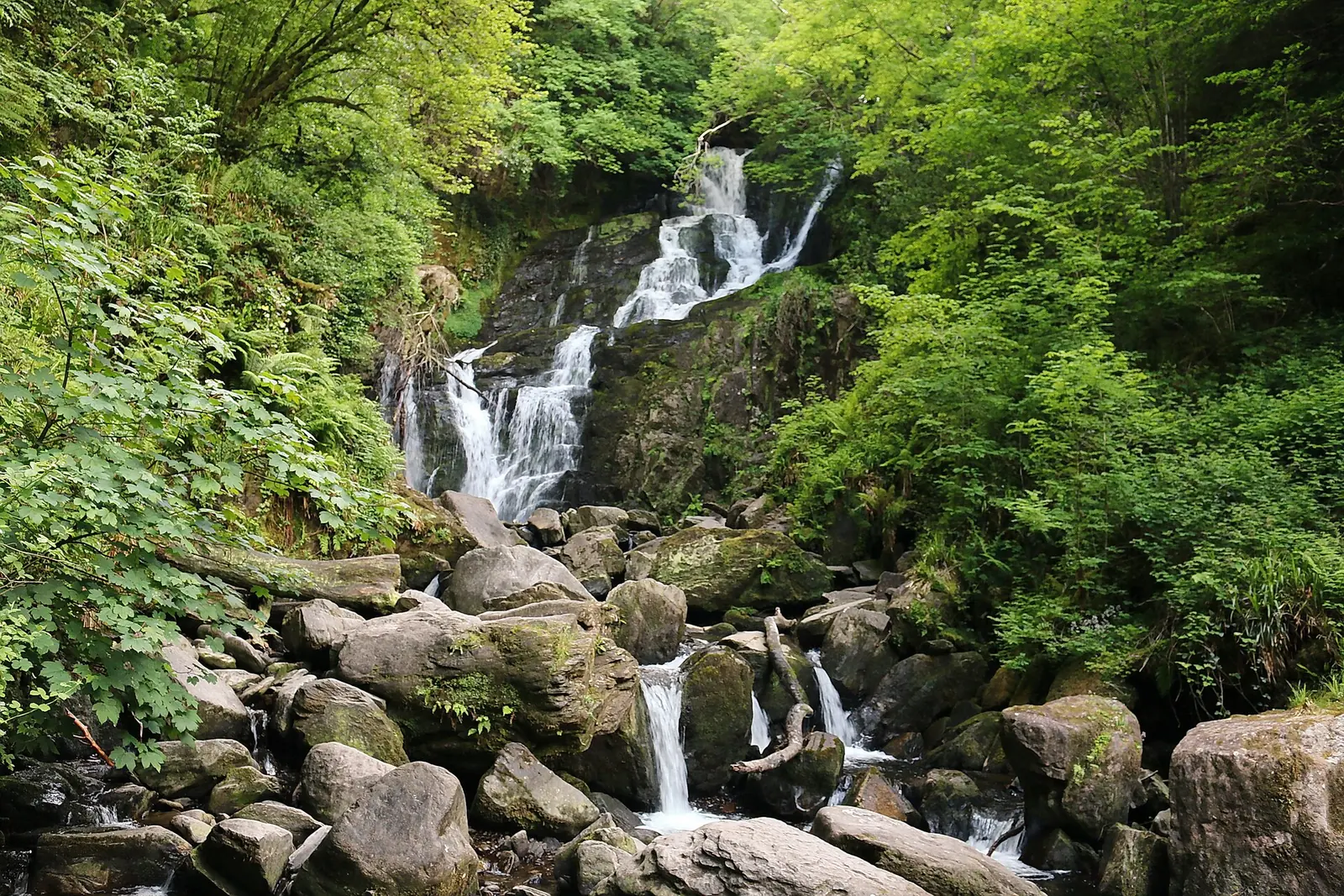 Der Torc Waterfall im Killarney-Nationalpark stürzt über moosbedeckte Felsen zwischen Bäumen