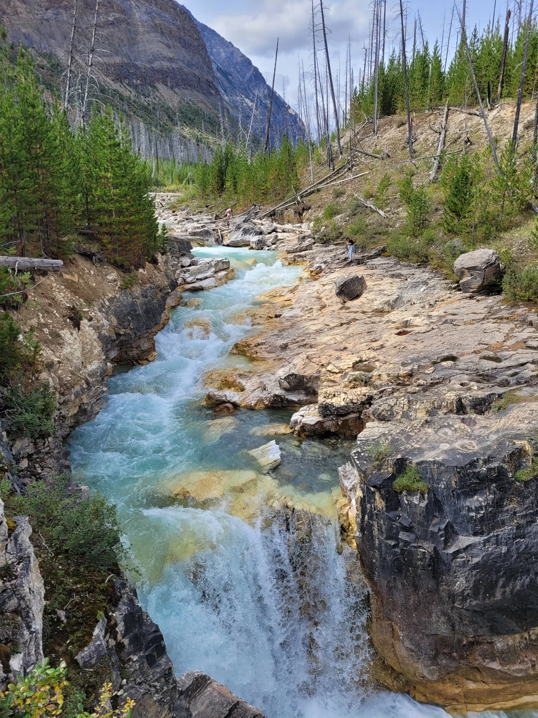Fluss und Felsen bei Marble Canyon im Kootenay Nationalpark