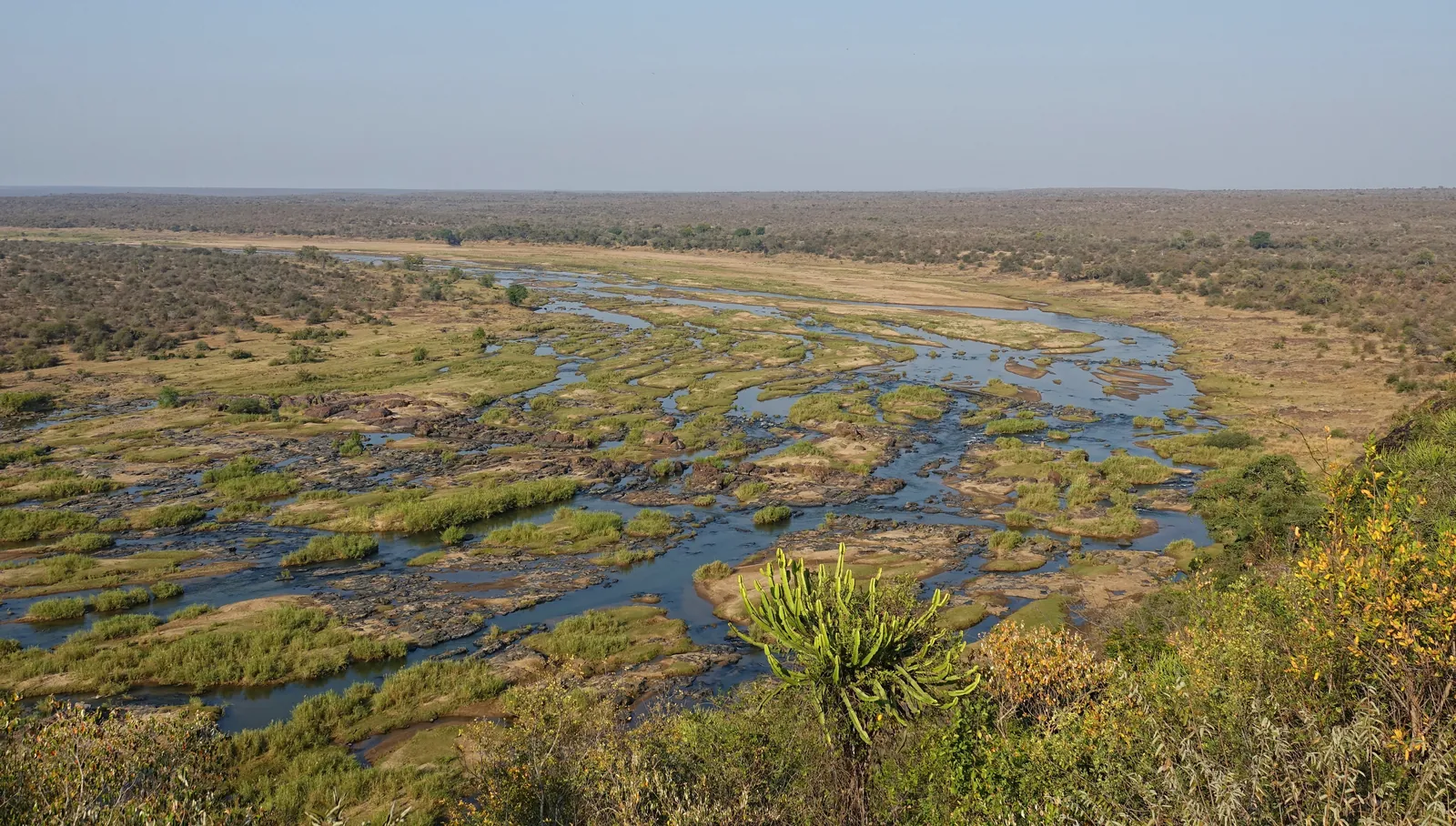 Blick vom Rastlager Olifants hinunter auf den Olifants River, der sich in vielen Armen um grüne Inseln zieht.