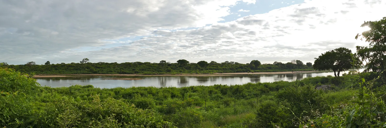 Weiter Blick über den Sabie River mit Sandbänken und grünem Ufergebüsch unter bewölktem Himmel