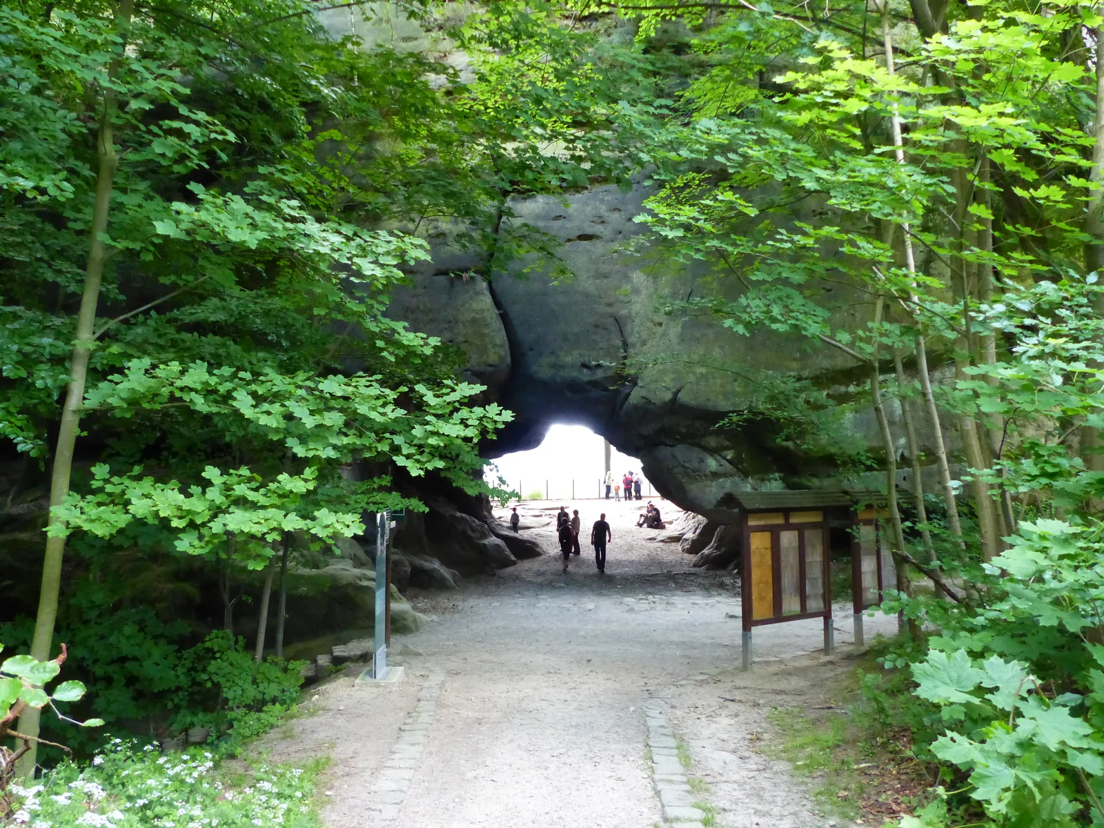 Waldweg zum Felsentor Kuhstall im Nationalpark Sächsische Schweiz, am Ende des Wegs die helle Öffnung des Tors